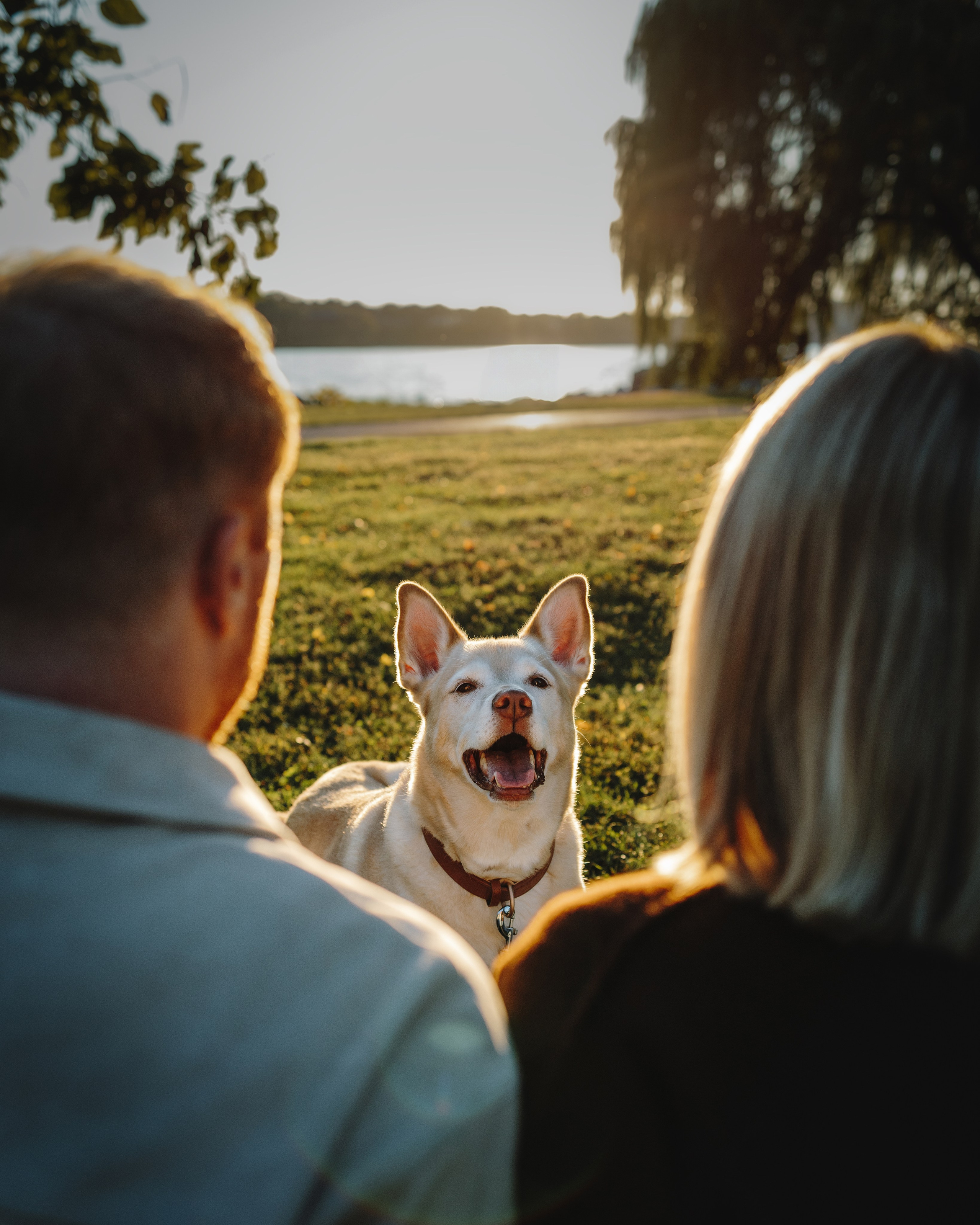 Chance, Carly & Mike. Pet Photographer Viktoriya