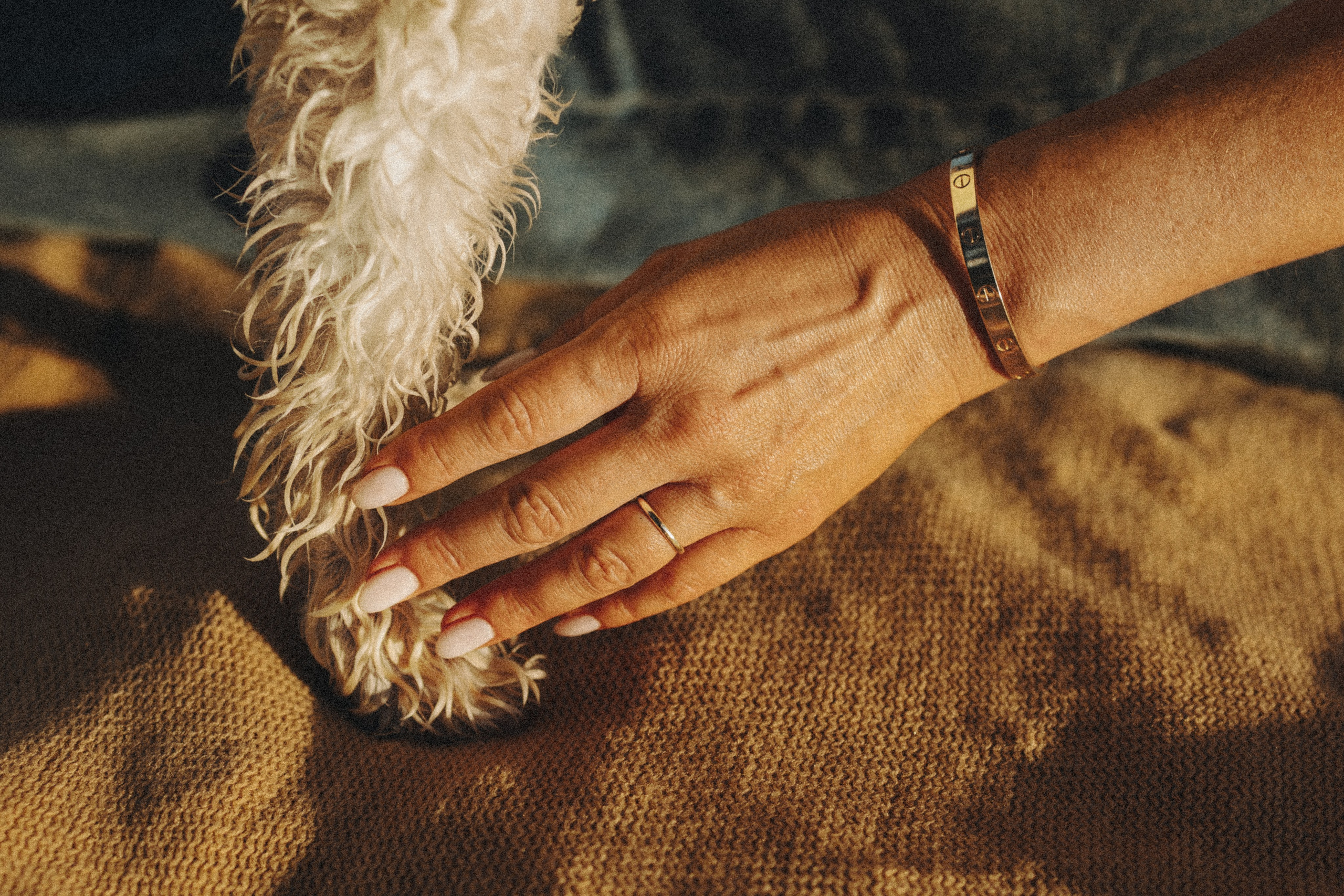 Casey & Natalie. Pet Photographer Viktoriya