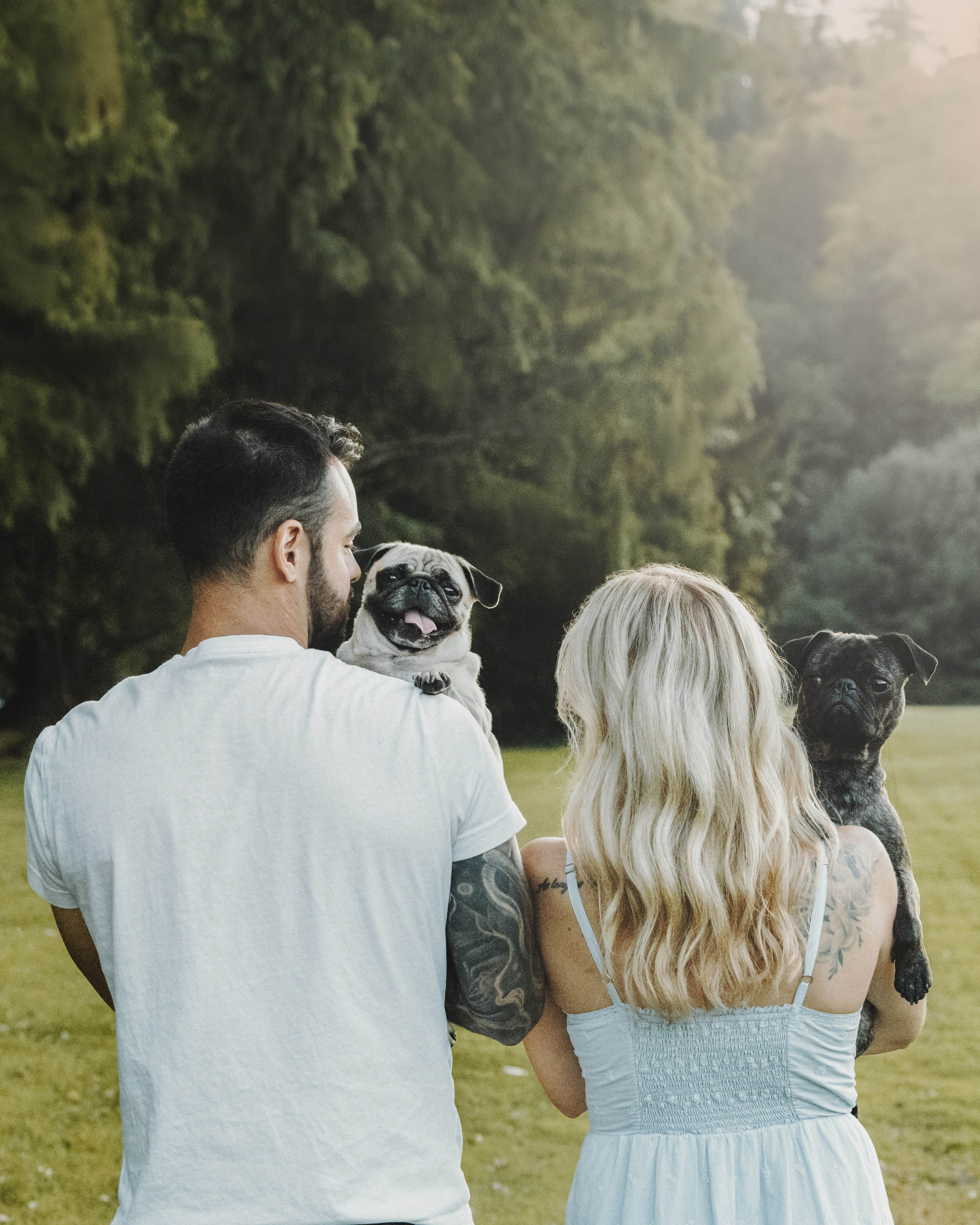 Remy, Pancake, Sydney & Michael. Pet Photographer Viktoriya