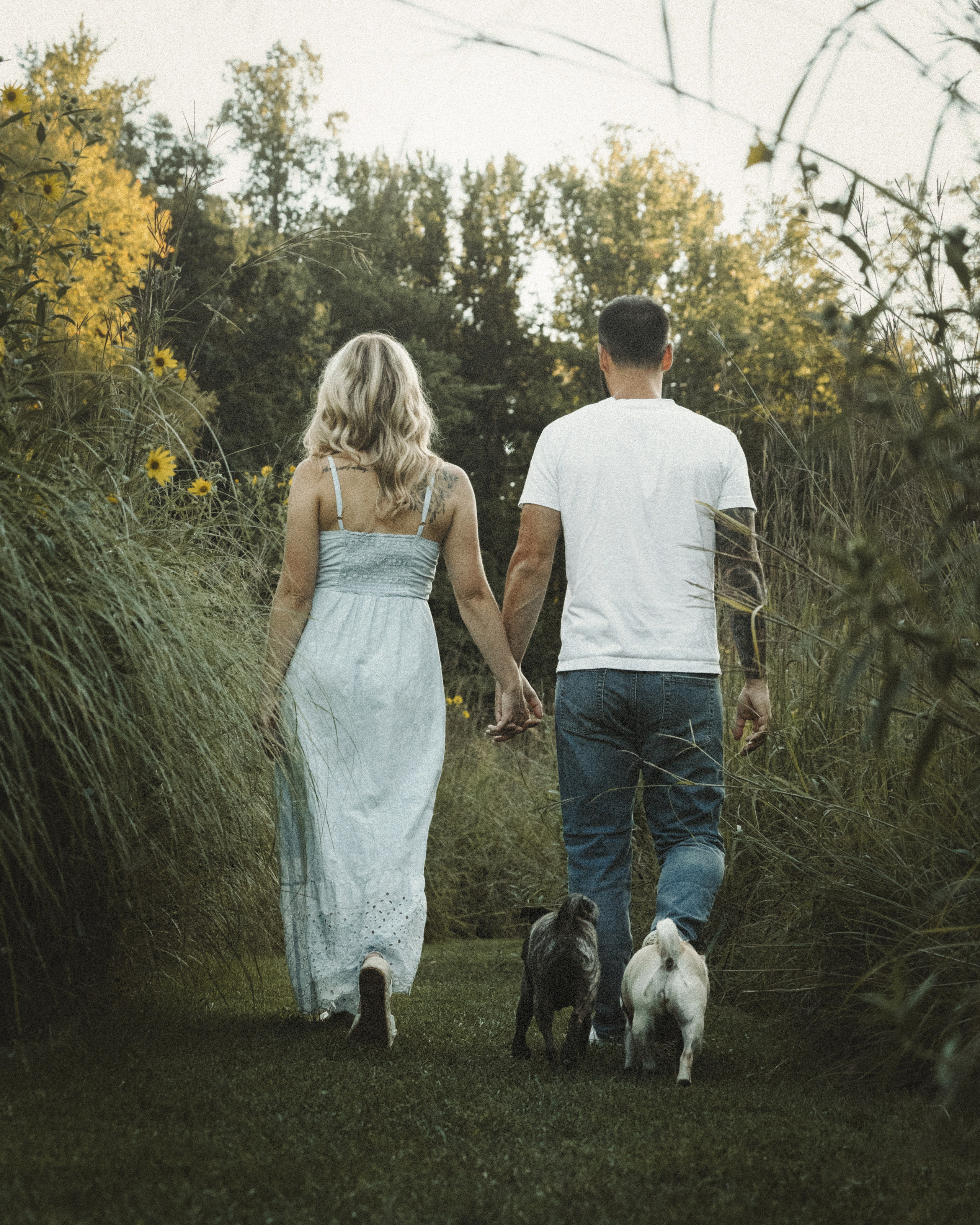 Remy, Pancake, Sydney & Michael. Pet Photographer Viktoriya