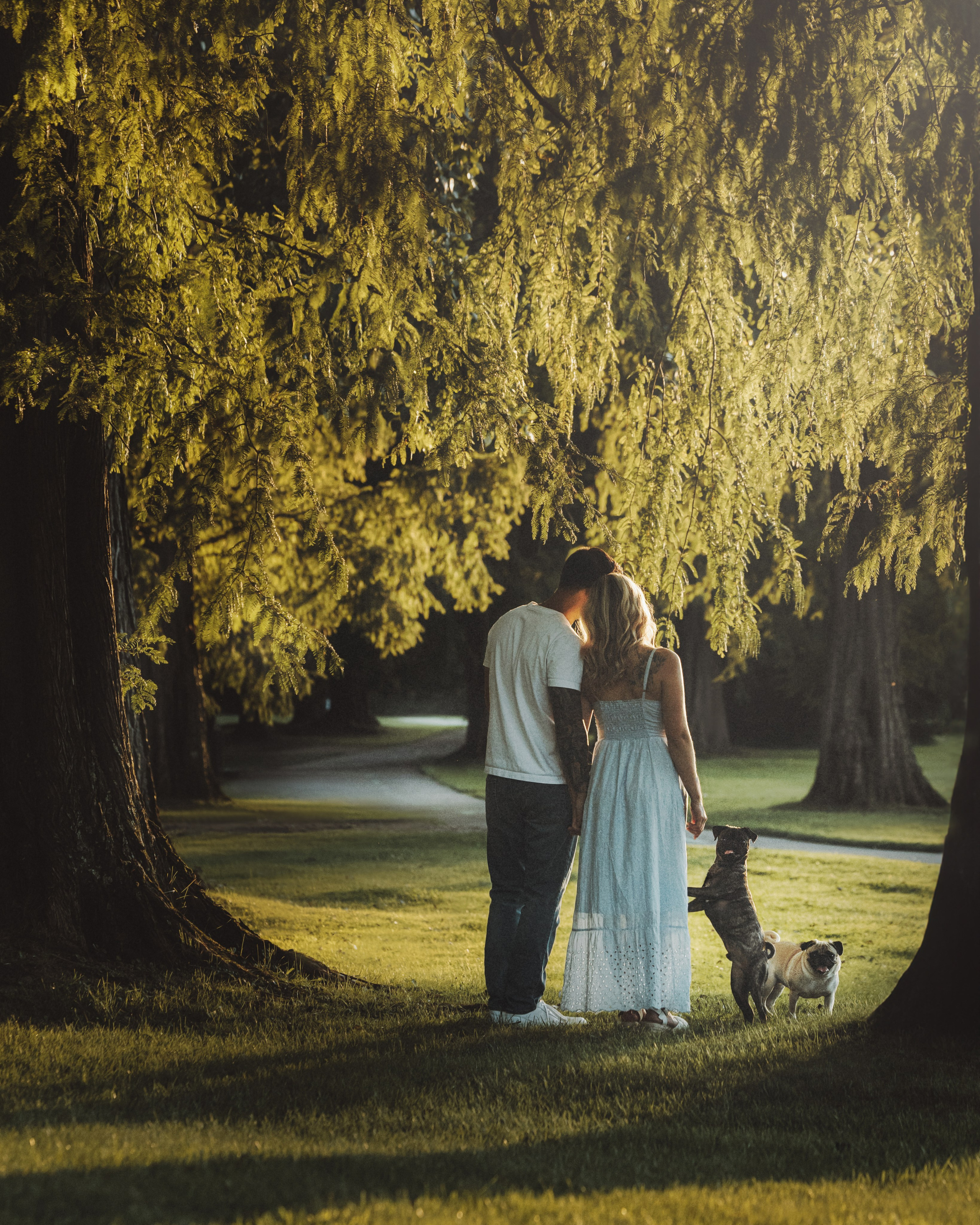 Remy, Pancake, Sydney & Michael. Pet Photographer Viktoriya