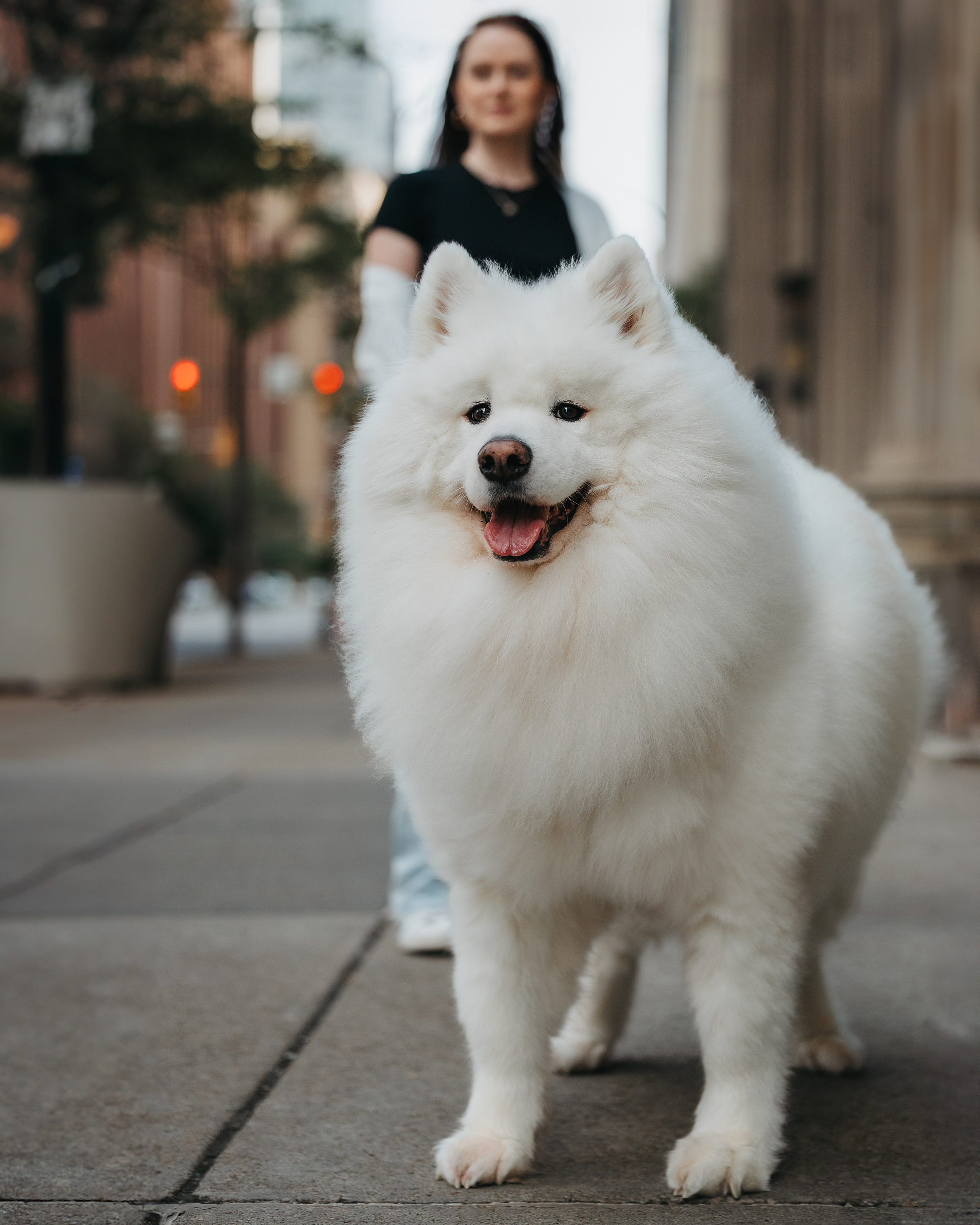 Mishka & Yuliya. Pet Photographer Viktoriya