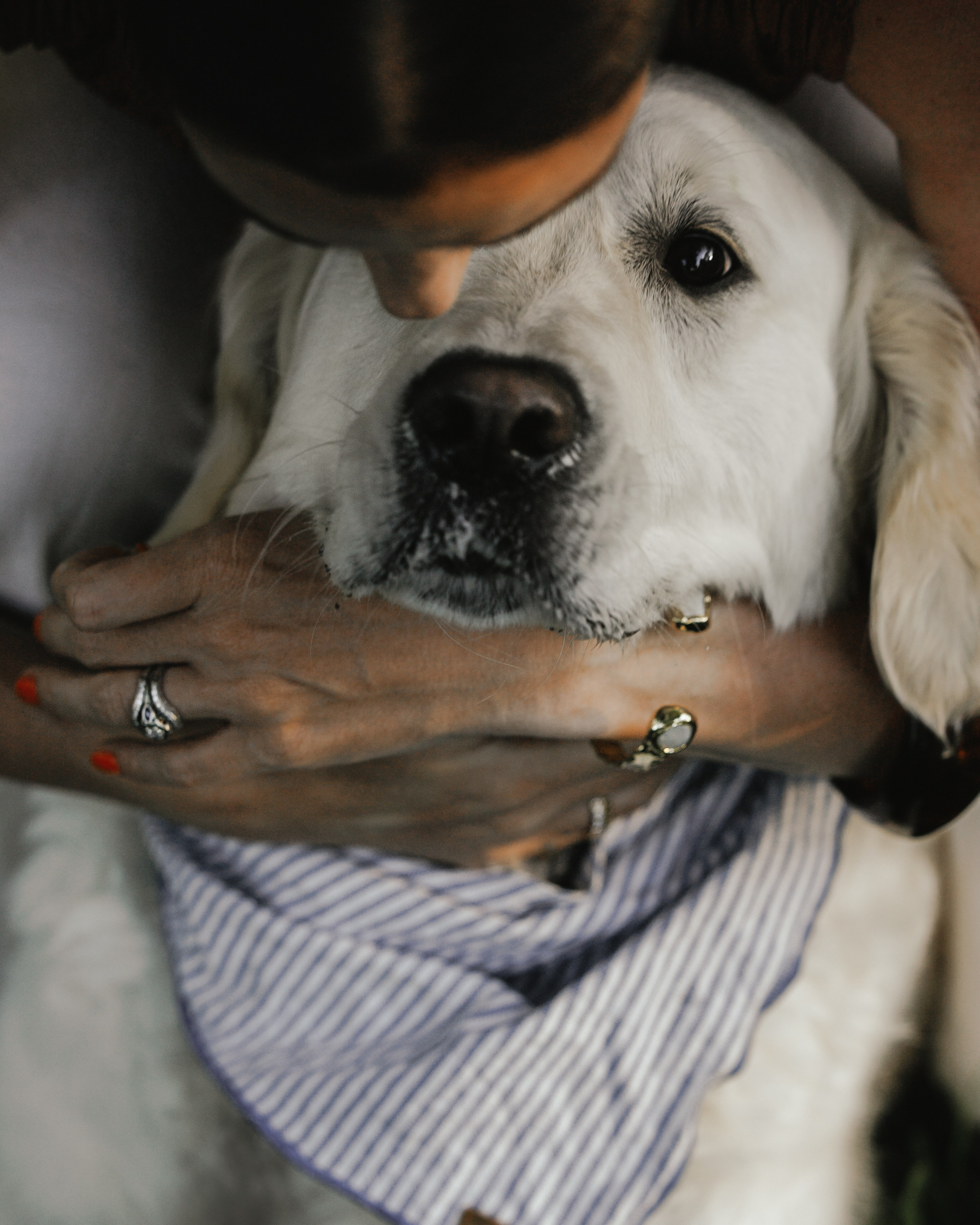 Billy & Emily. Pet Photographer Viktoriya