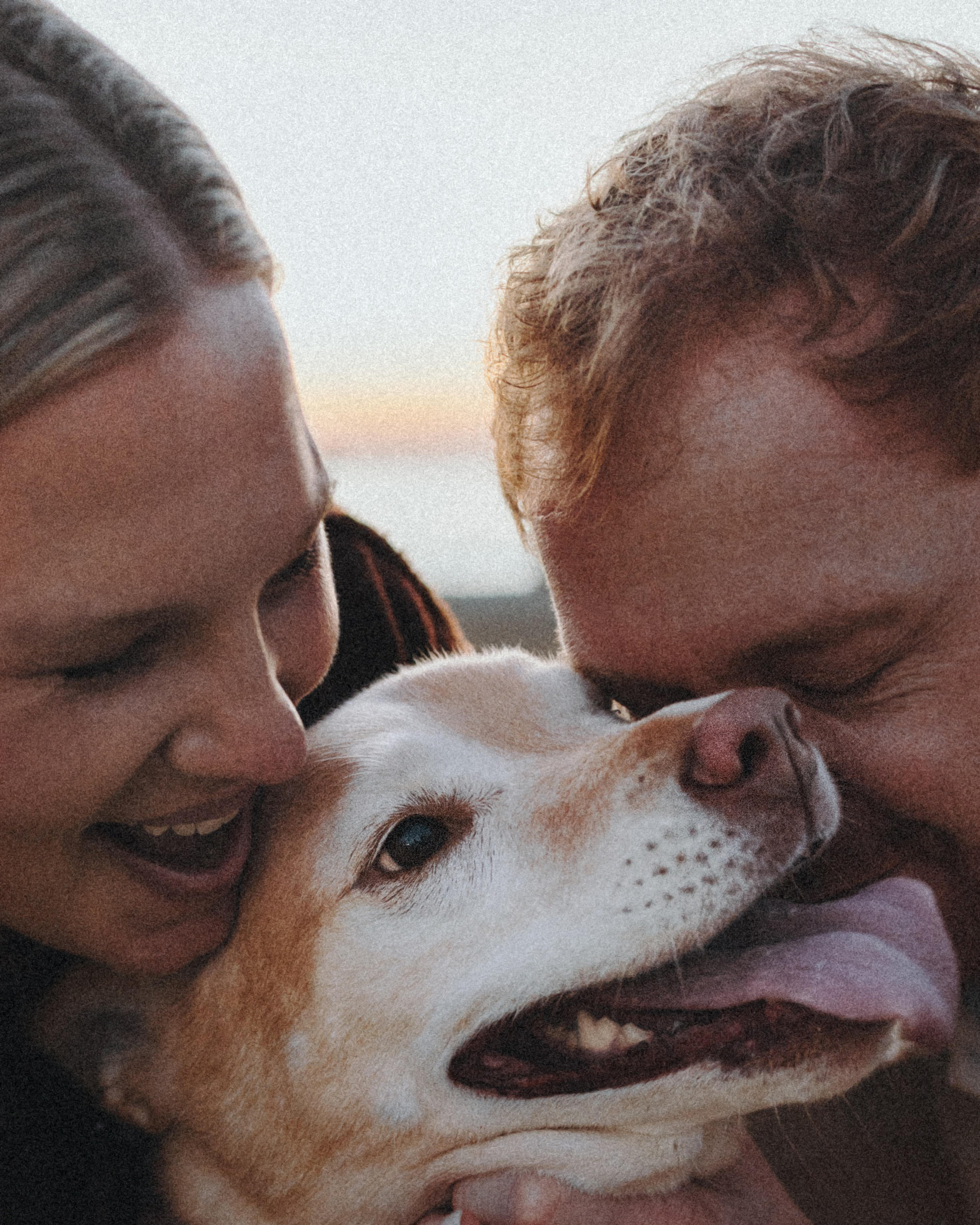 Chance, Carly & Mike. Pet Photographer Viktoriya