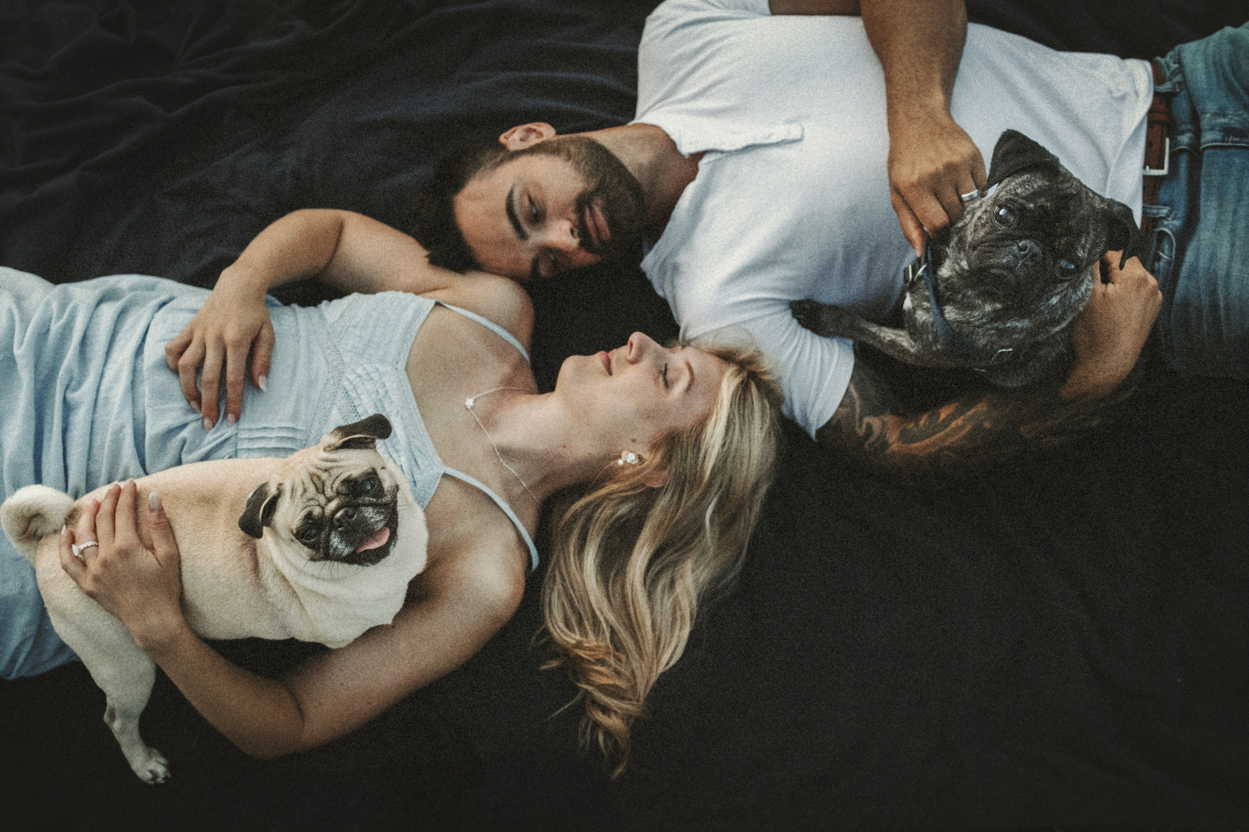 Remy, Pancake, Sydney & Michael. Pet Photographer Viktoriya