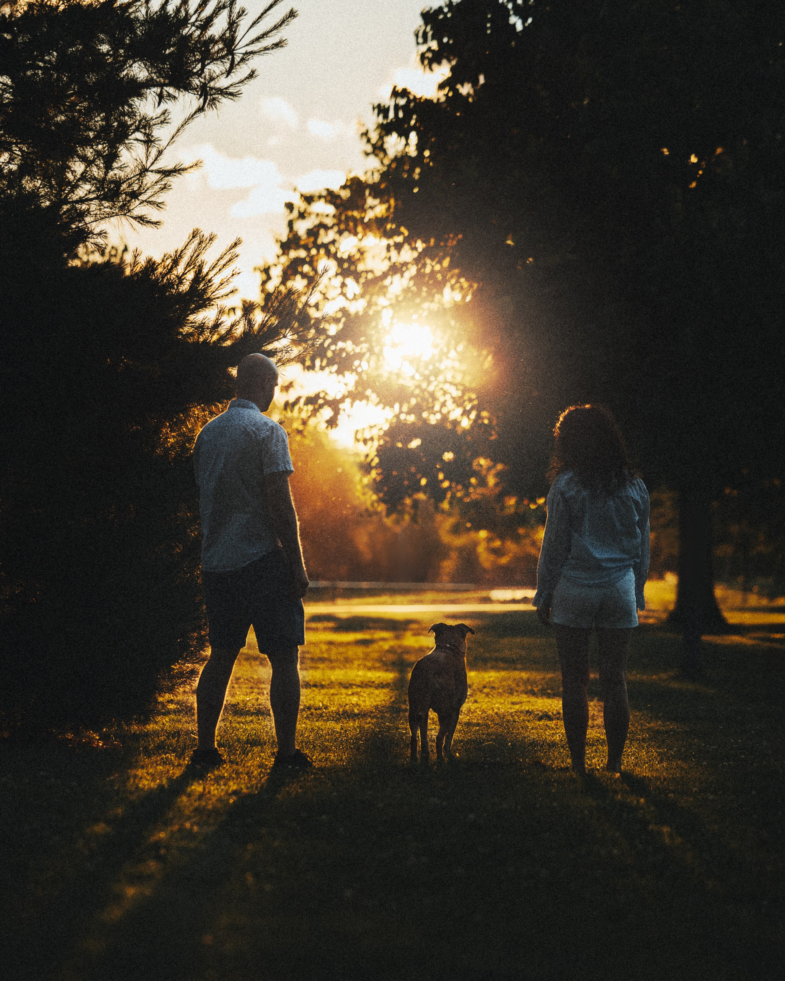 Yuliya & Jacob. Pet Photographer Viktoriya