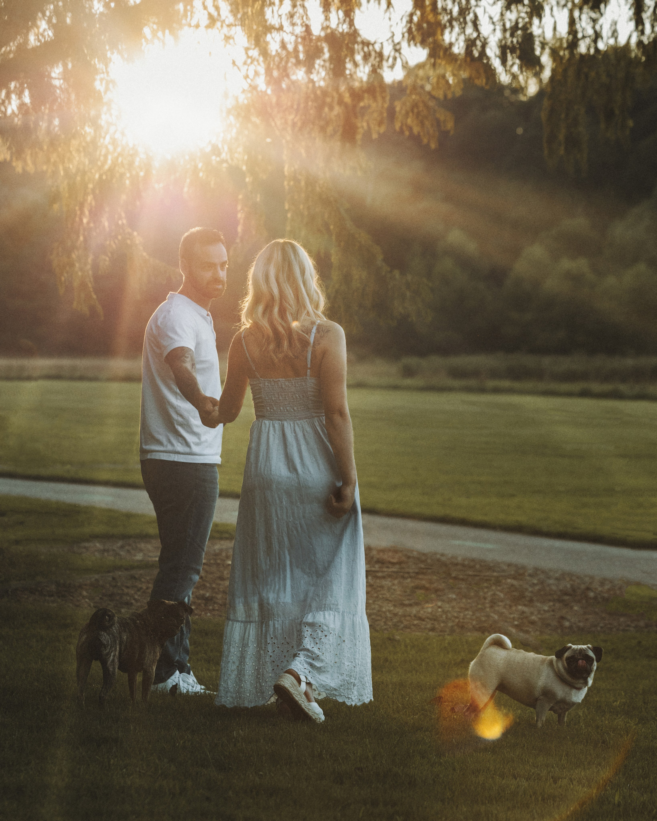 Remy, Pancake, Sydney & Michael. Pet Photographer Viktoriya