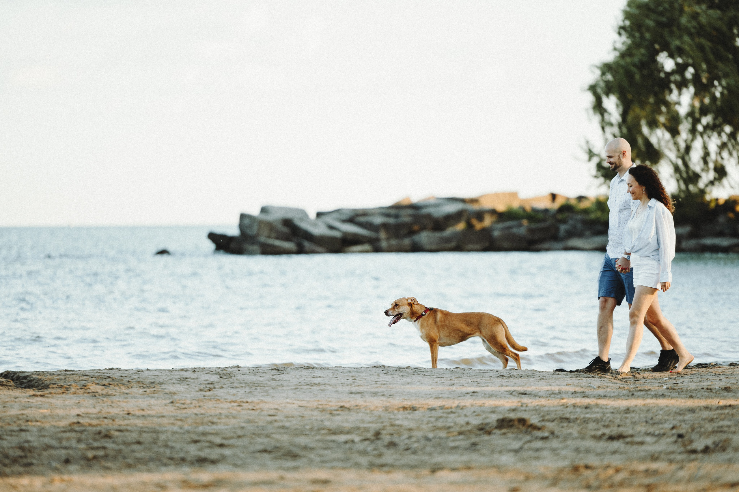 Yuliya & Jacob. Pet Photographer Viktoriya