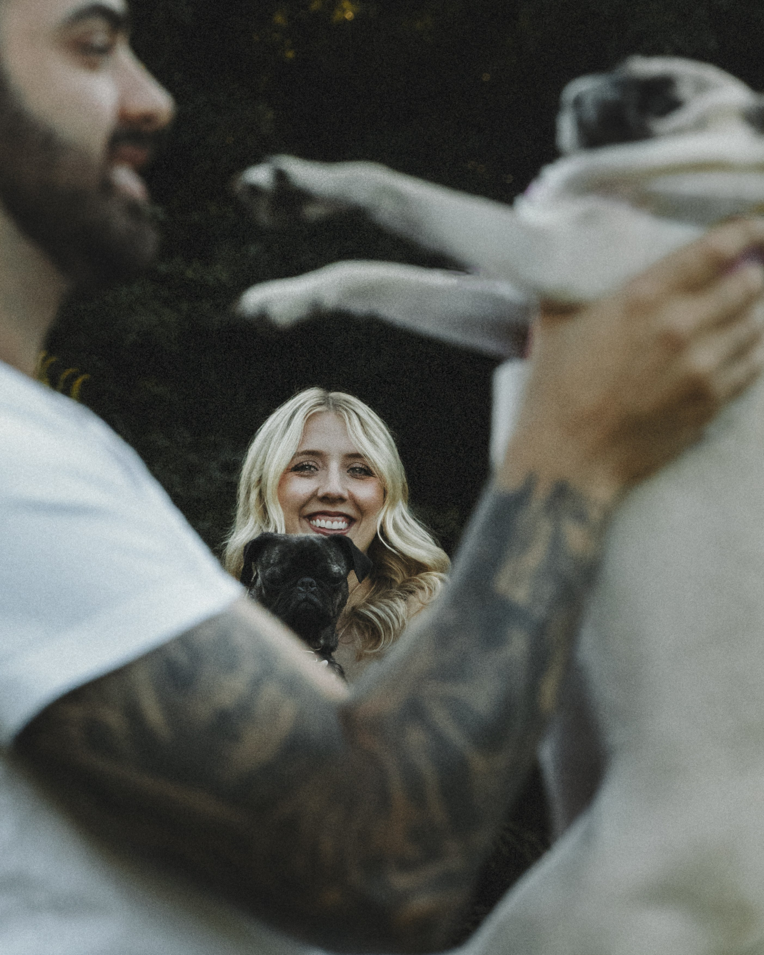 Remy, Pancake, Sydney & Michael. Pet Photographer Viktoriya