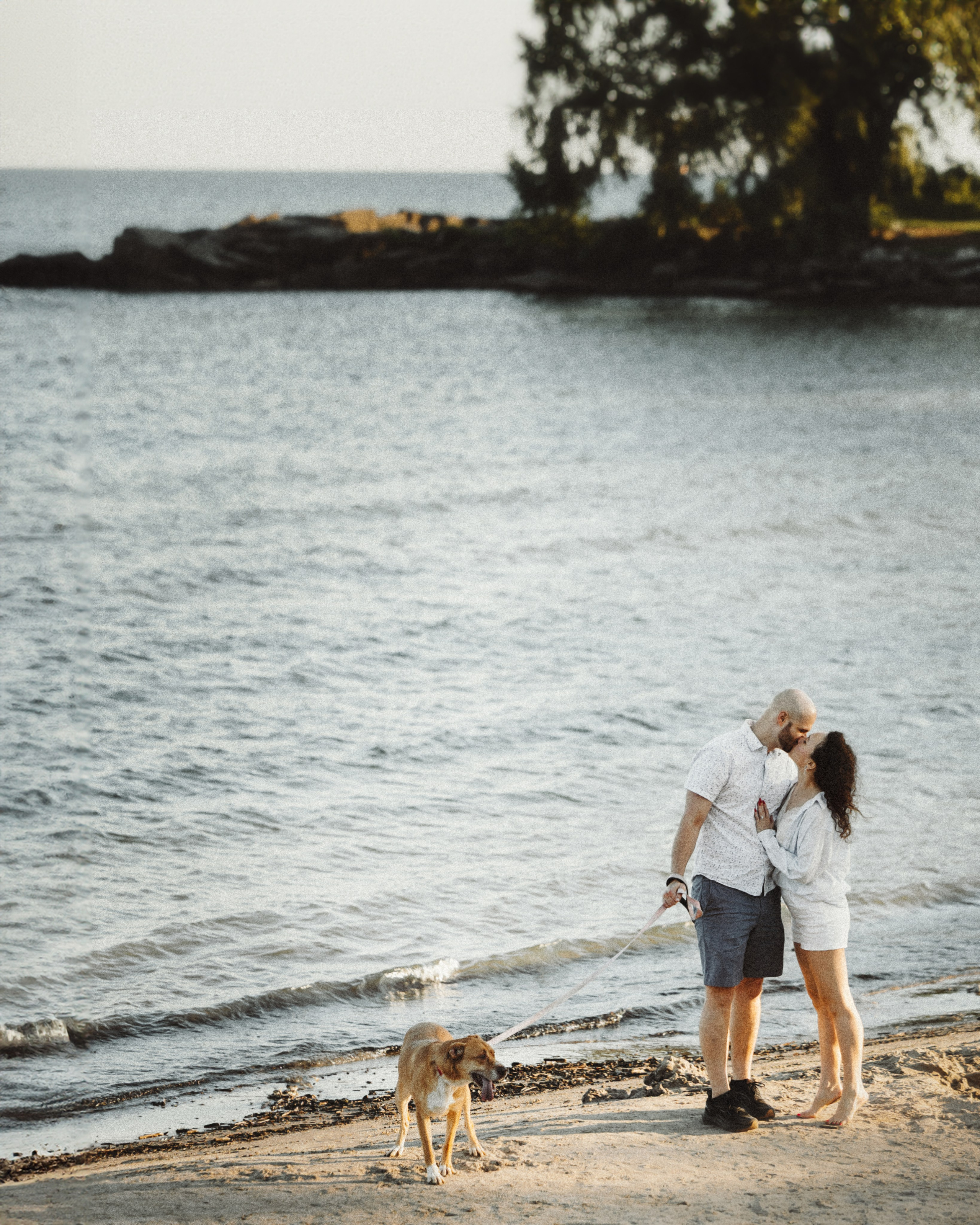 Yuliya & Jacob. Pet Photographer Viktoriya