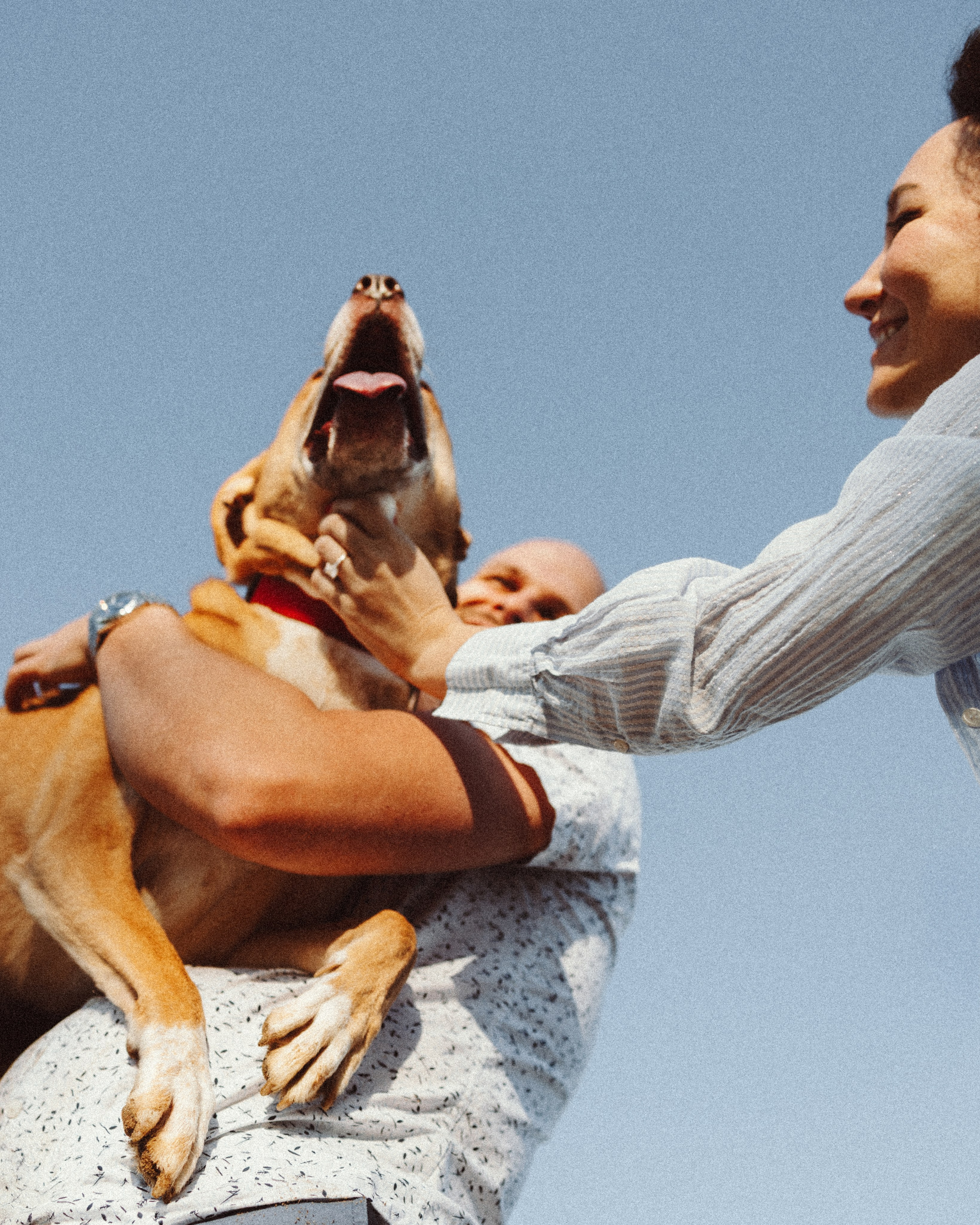 Yuliya & Jacob. Pet Photographer Viktoriya