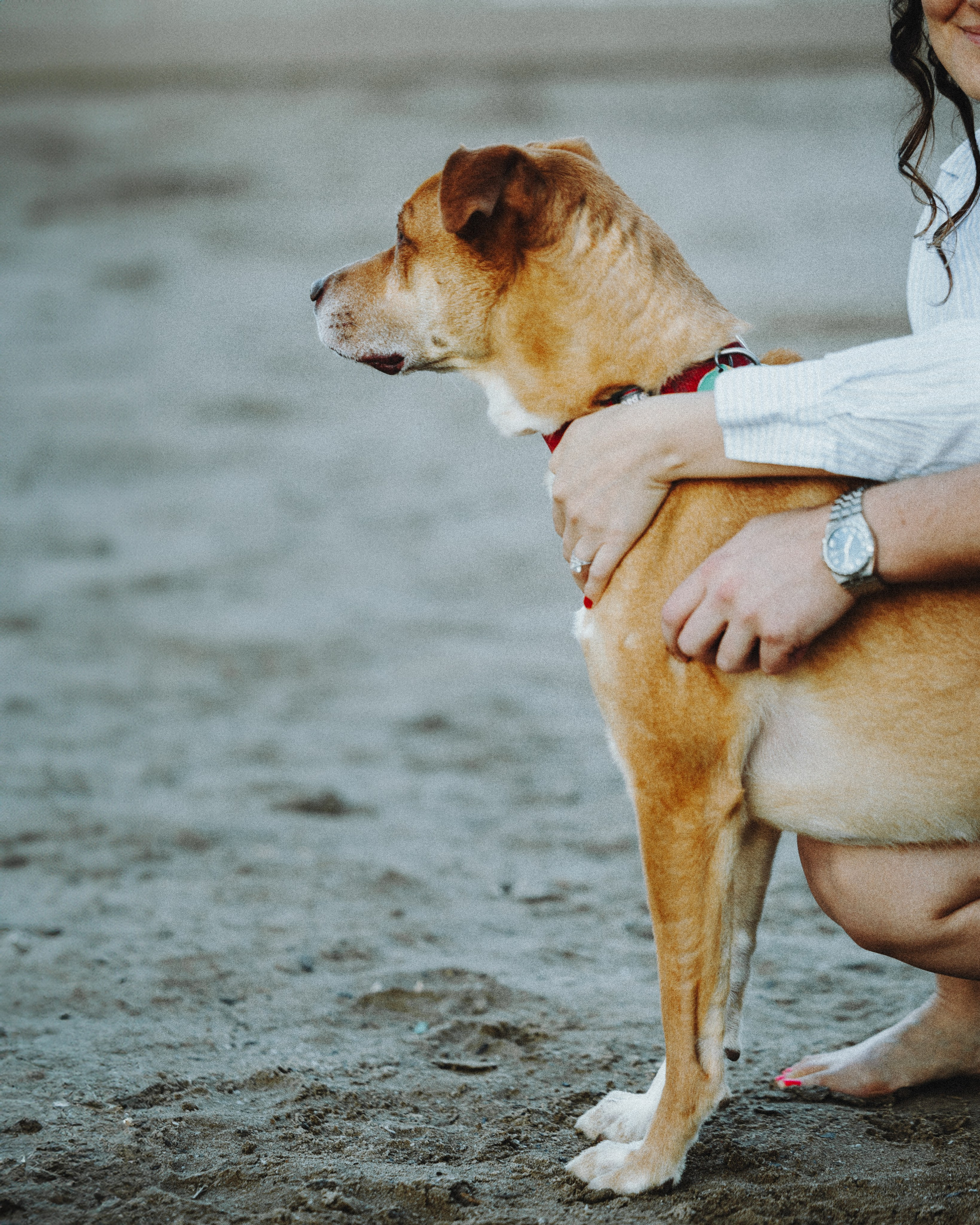 Yuliya & Jacob. Pet Photographer Viktoriya