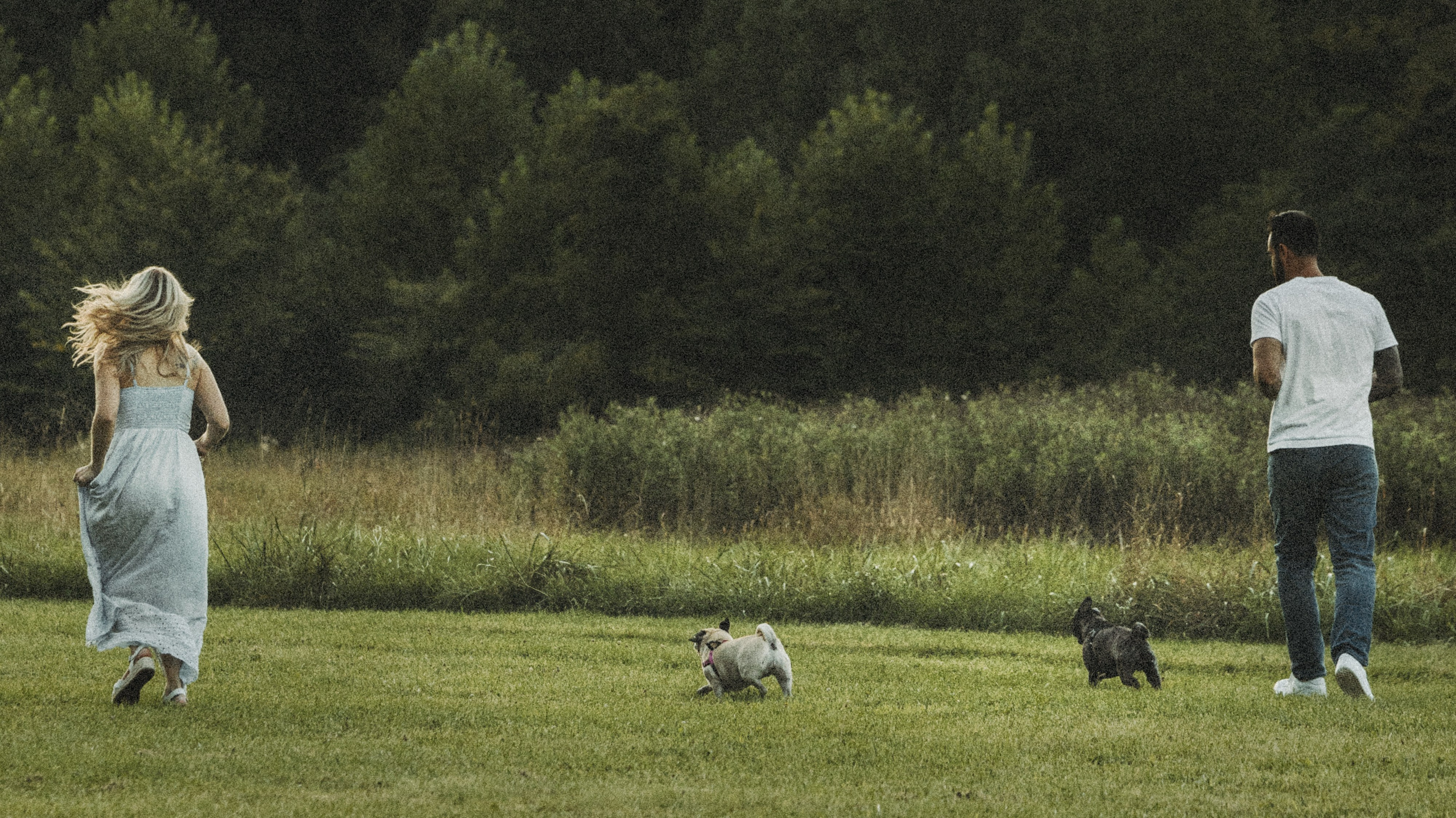 Remy, Pancake, Sydney & Michael. Pet Photographer Viktoriya