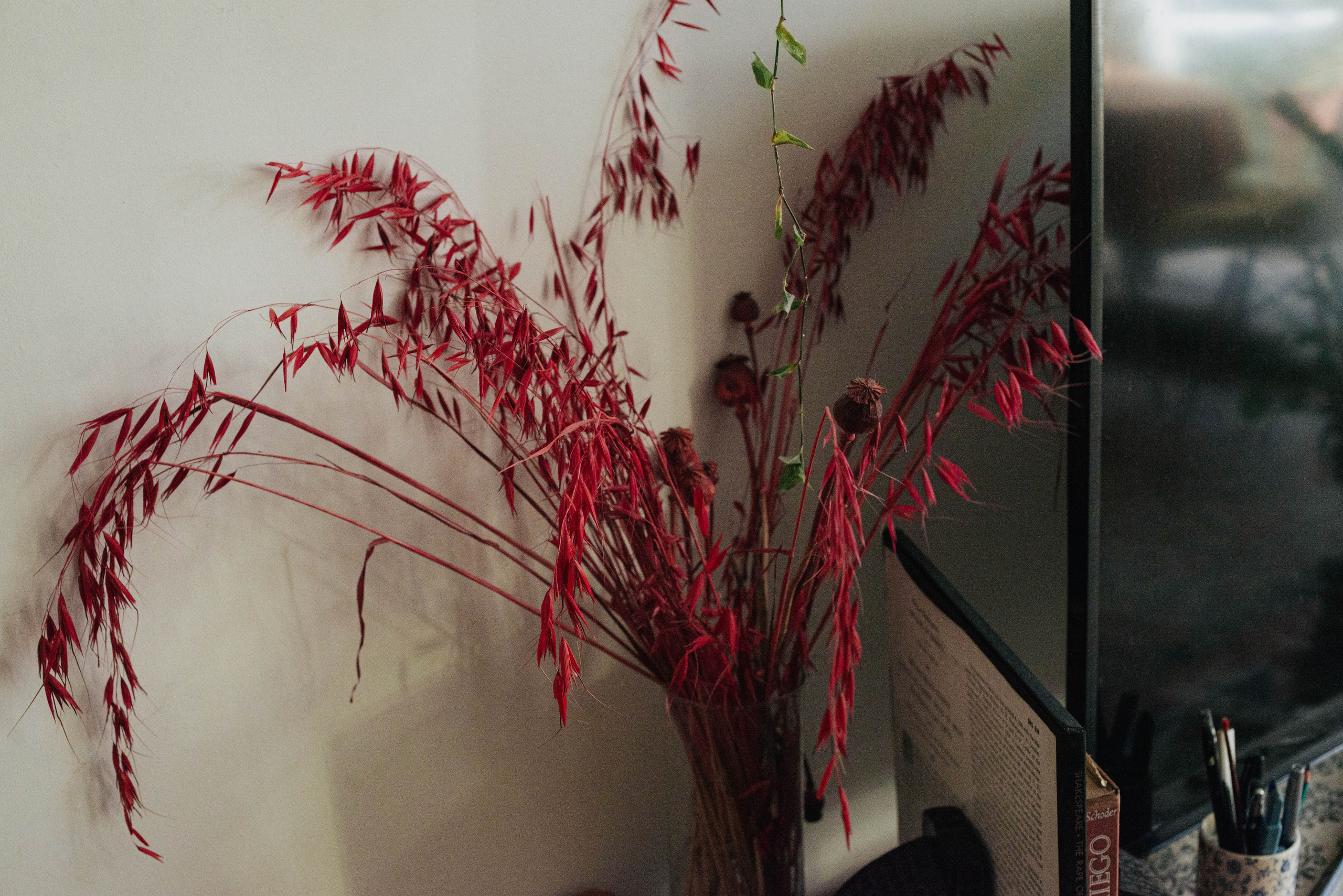 Юленька. Photographer @elmirkami in the city of Buenos Aires