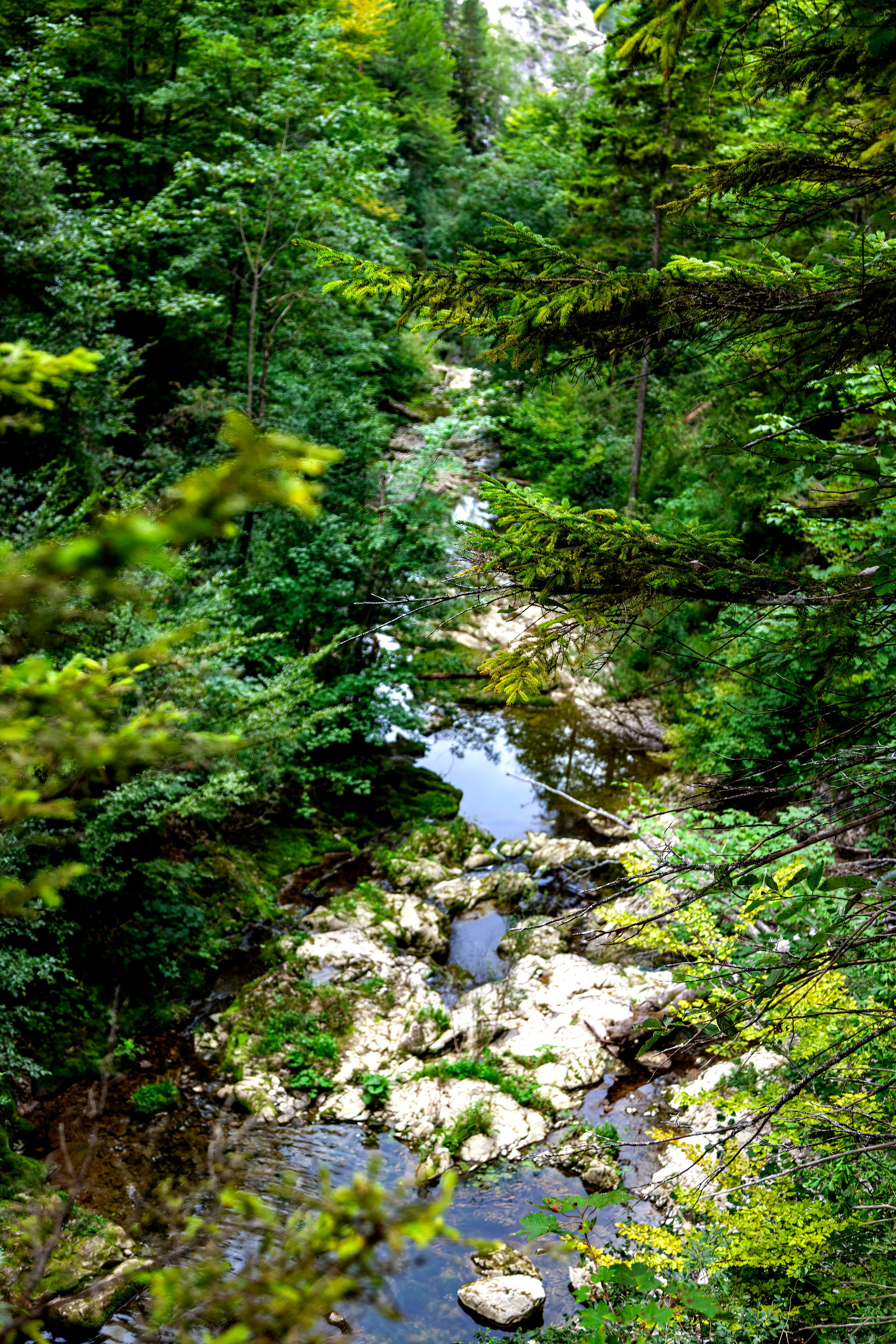 197.Ötscher Base Nature Park.Austria.21.8.2025. Путешествия в формате 360......