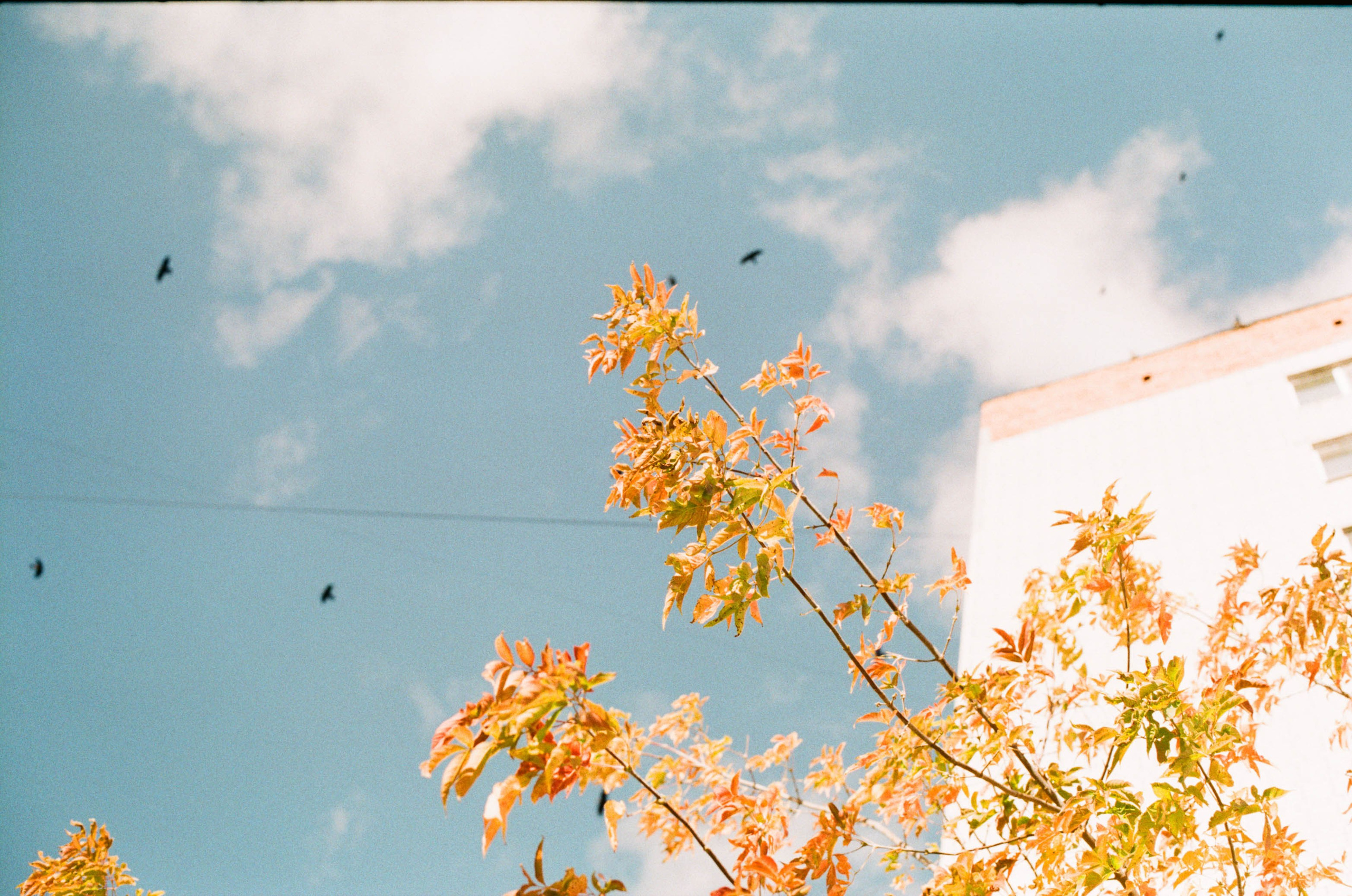 FADE. «Фотохроники»