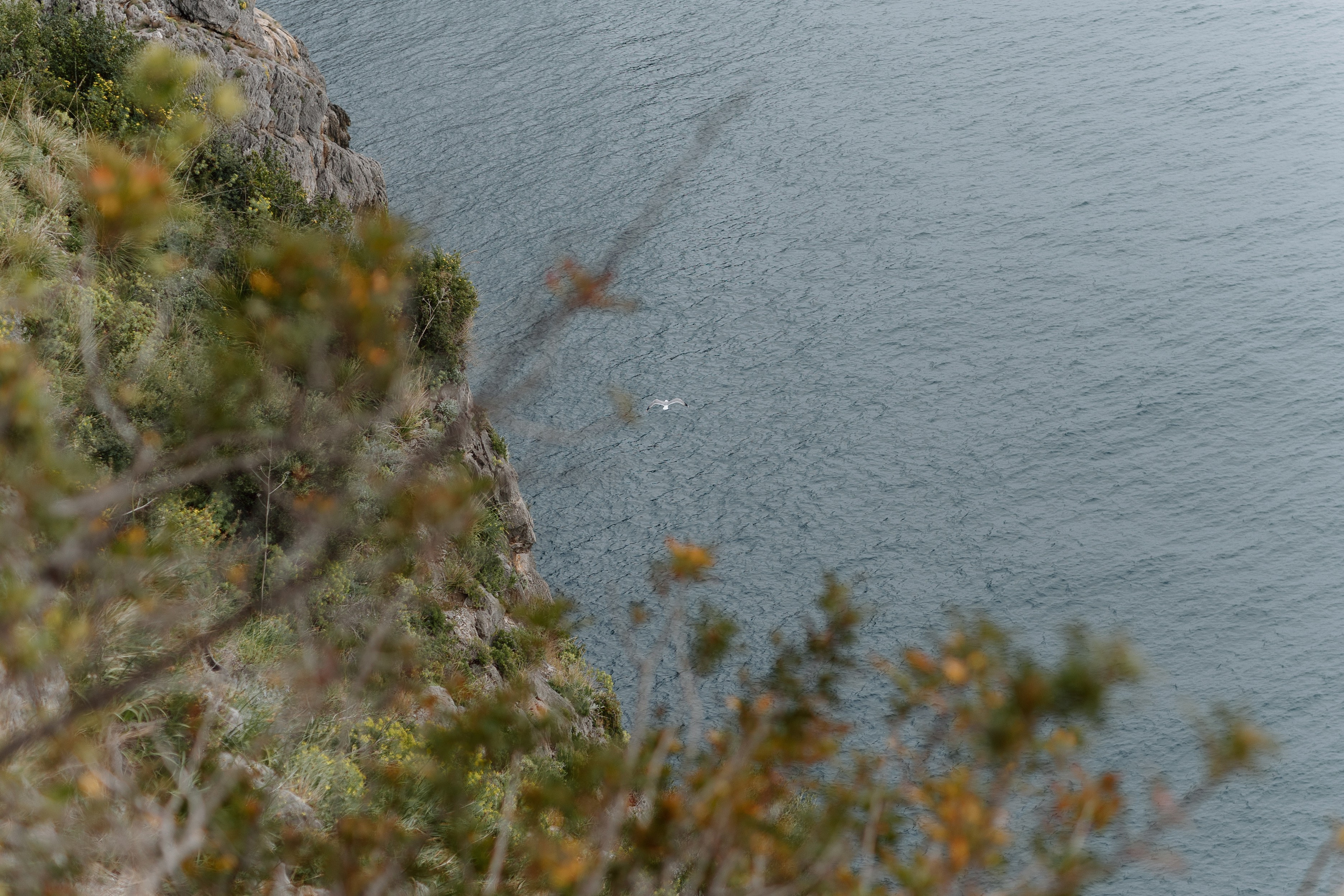 Simona & Giancarlo. Main