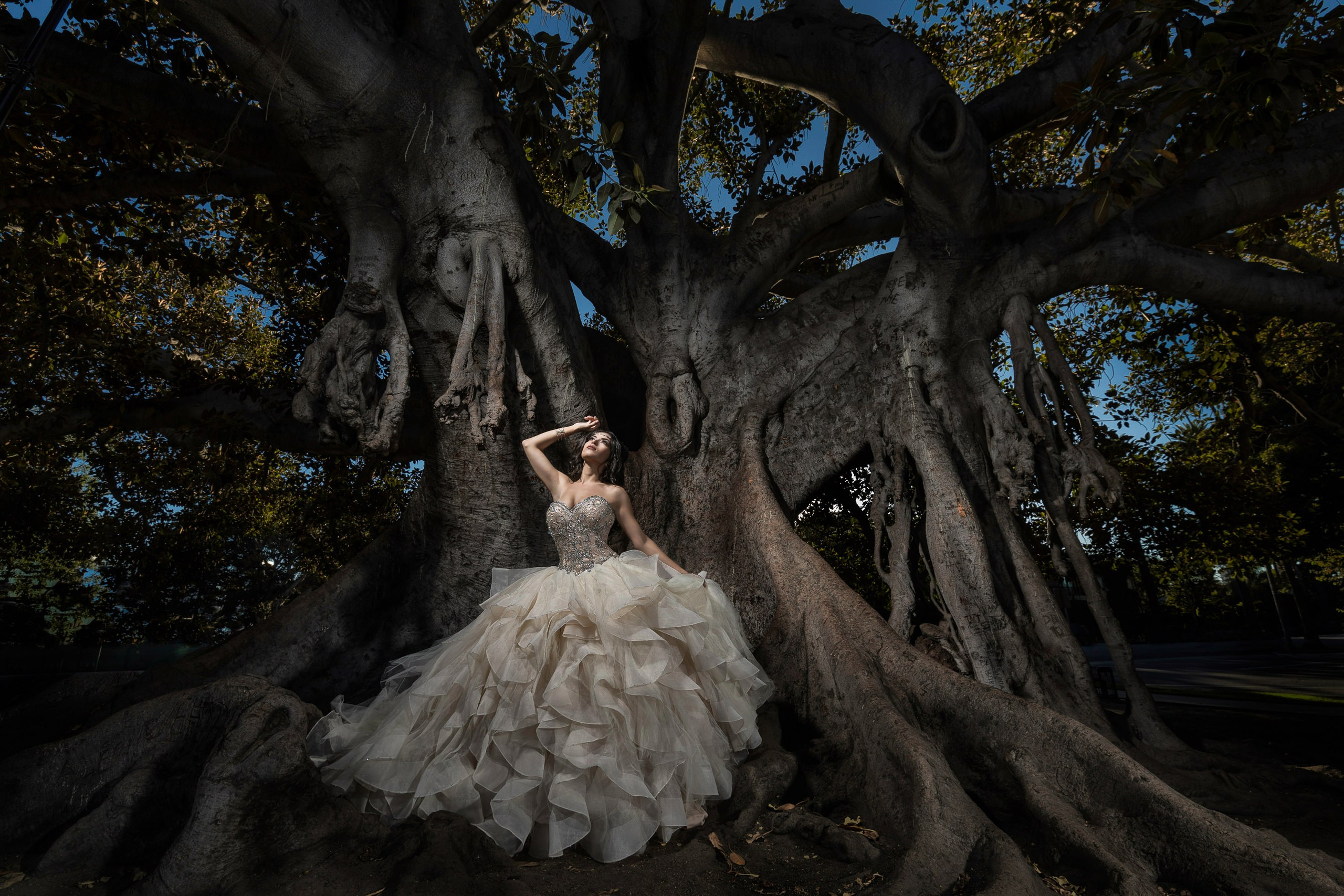 Quinceañeras. Professional Photographer in Chihuahua, Mexico — Alex Mendoza