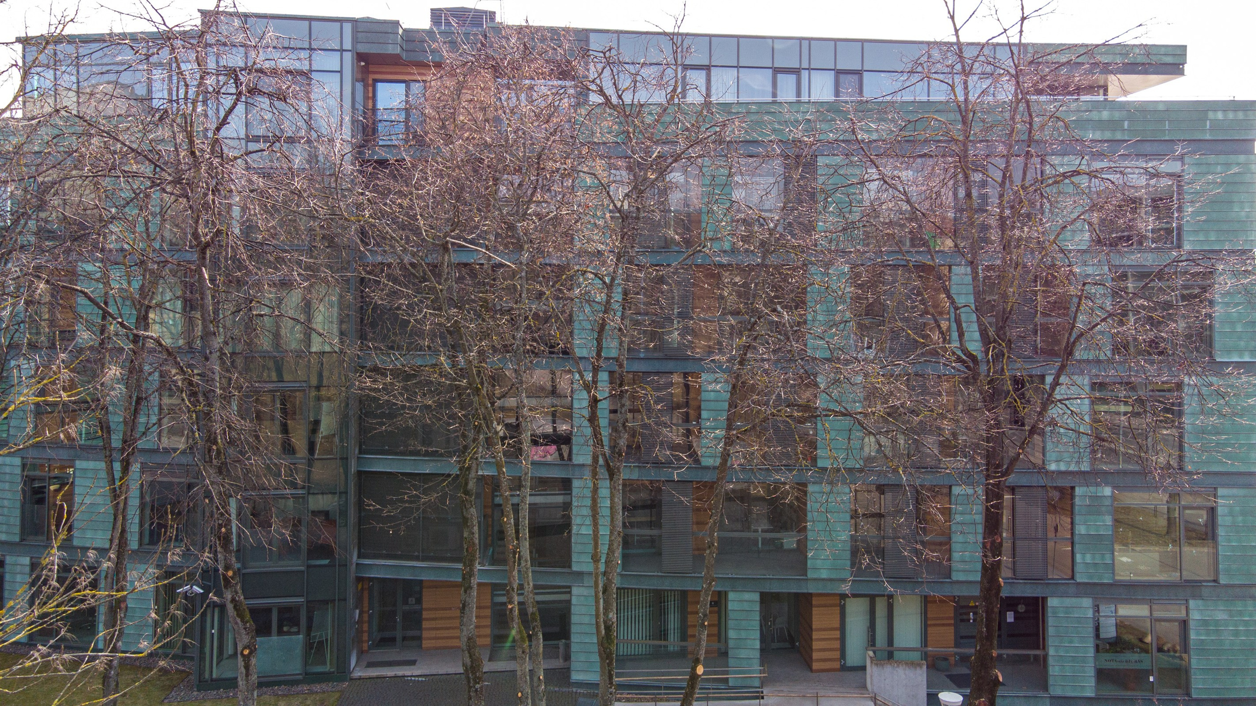 Olimpiečių 1. Elina Sapiega fotografė Vilniuje