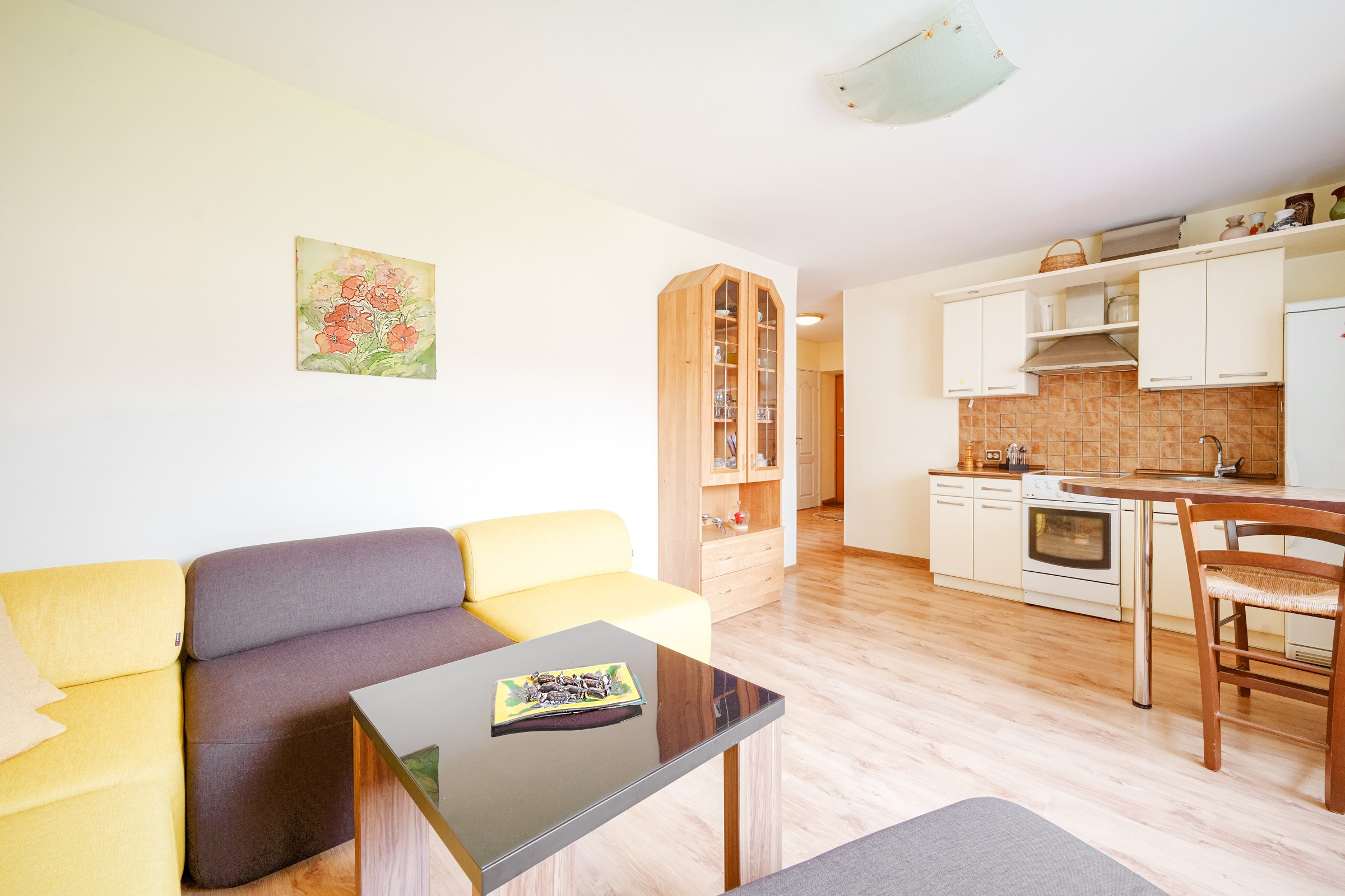 Ateities g. 1. Elina Sapiega fotografė Vilniuje