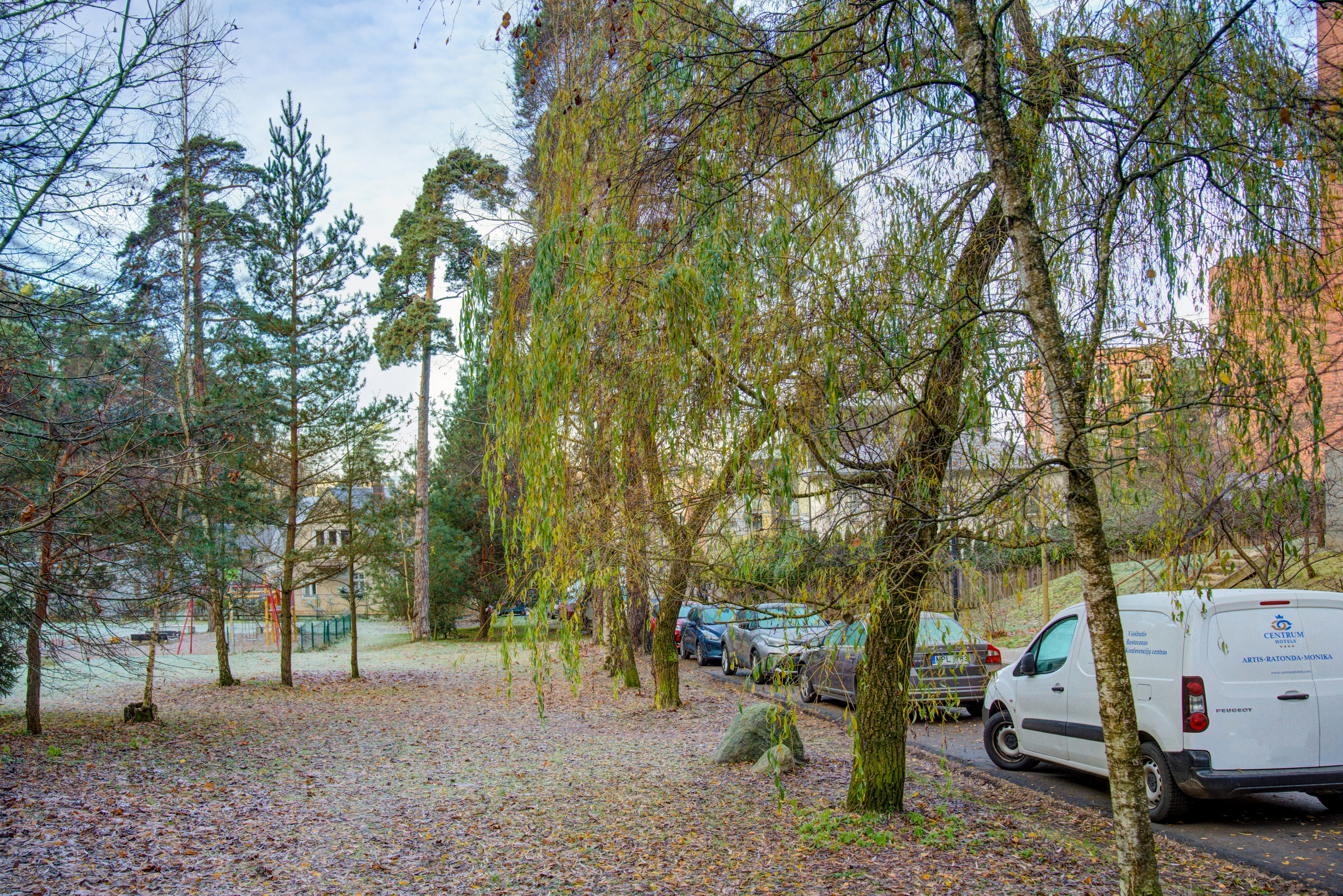 Dronas Antakalnis, Kanklių 10. Elina Sapiega fotografė Vilniuje