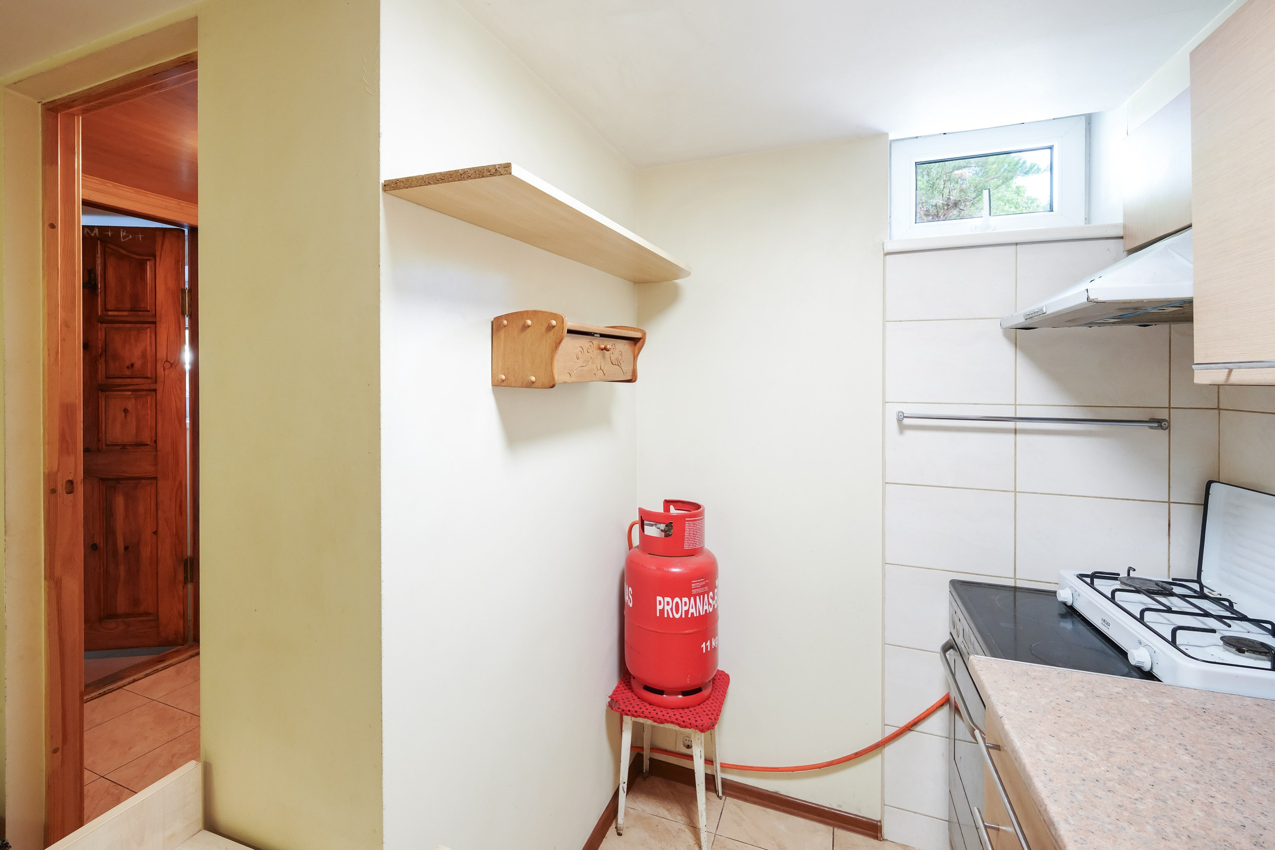 Grigiškės. Elina Sapiega fotografė Vilniuje