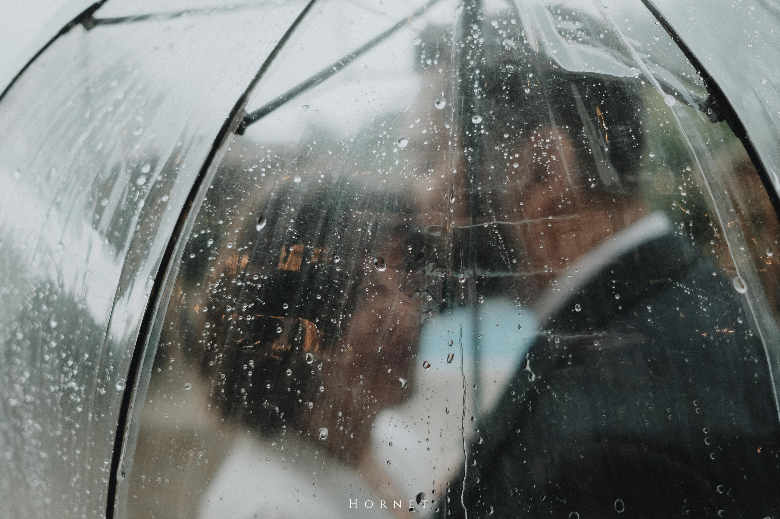 Silvia + Ionut. Hornetart