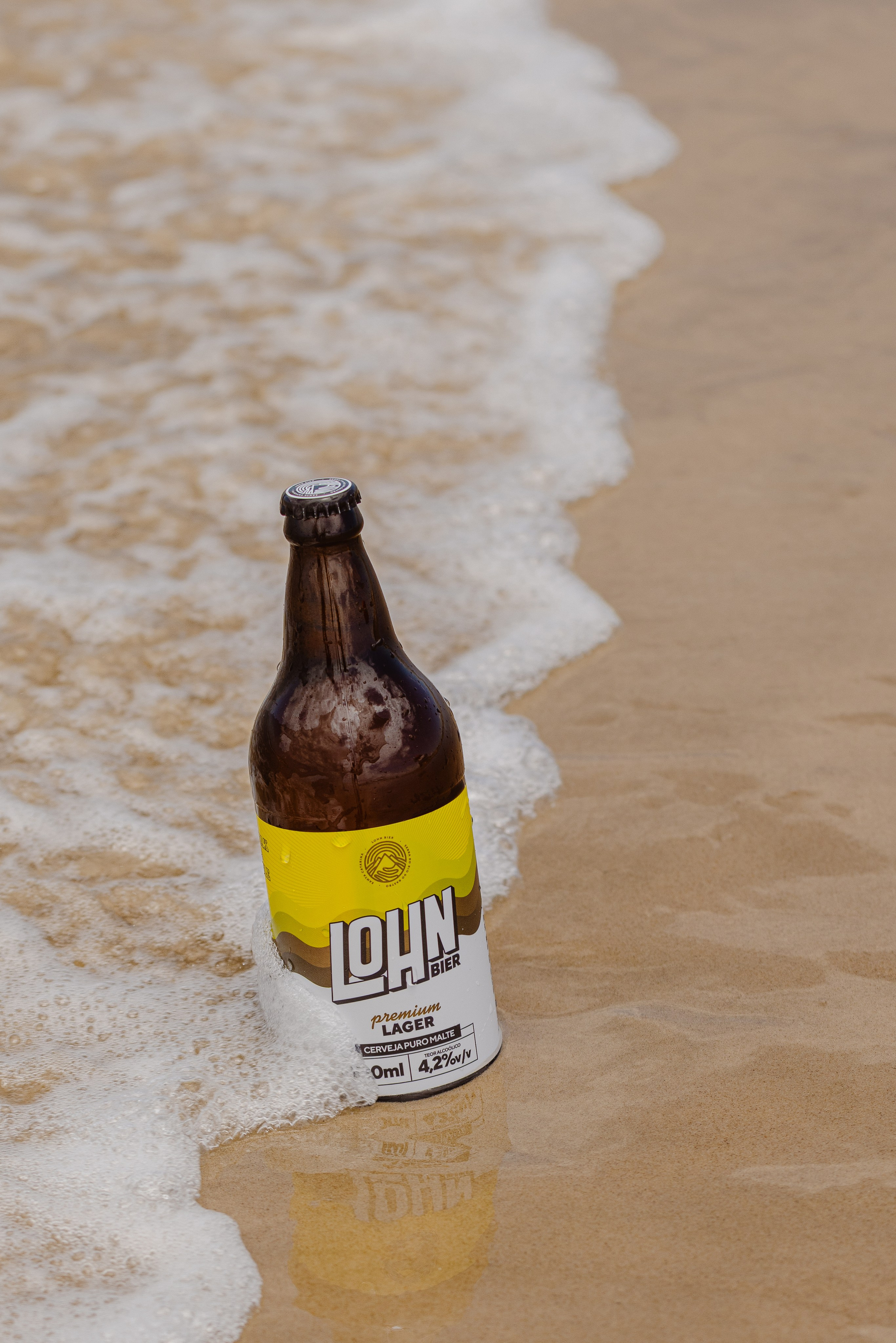 Lohnbier. ESTUDIO DOZE