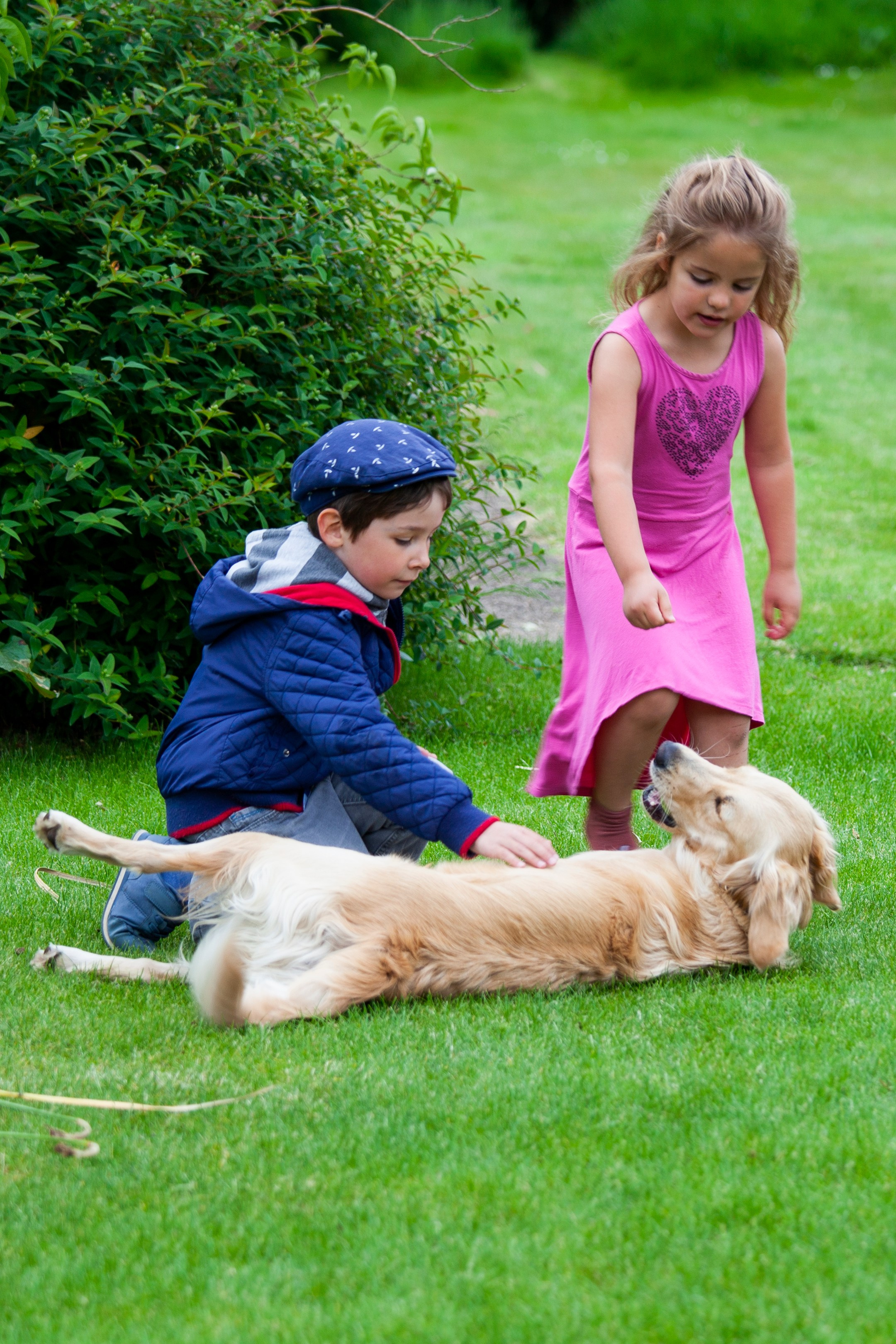 Family and Wedding. Photographer Anya Goldenberg. Works in Reading and surrounding areas