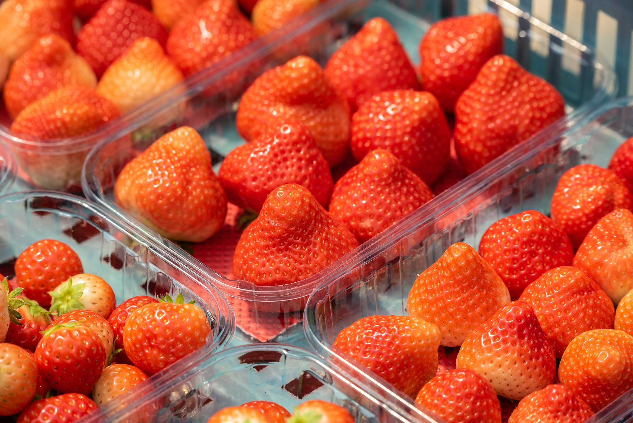 Rockberry. Фотограф в Ереване