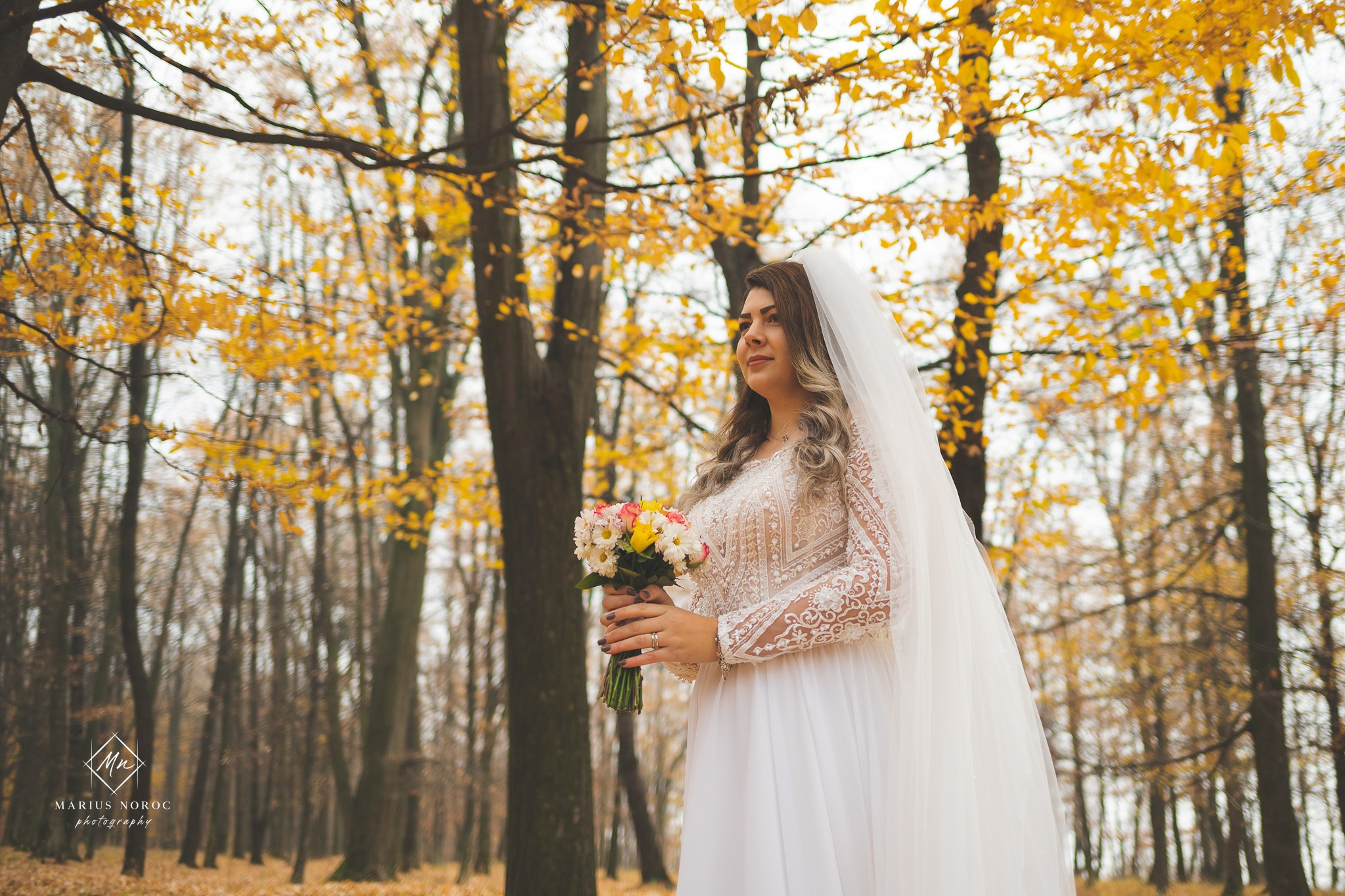Oana & Daniel | Padurea Bucium Iasi