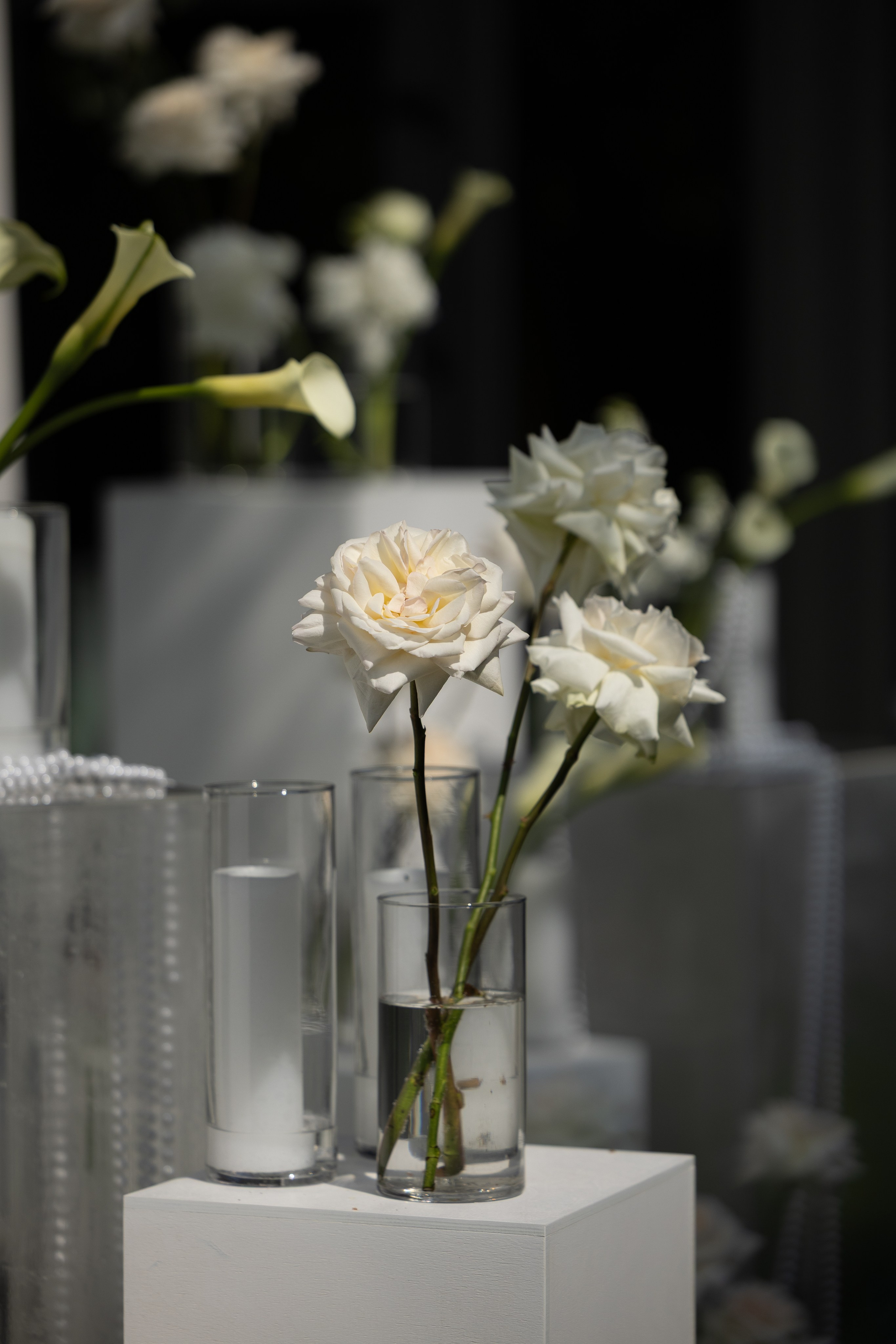 Кароліна & Андрій. Весільний та сімейний фотограф Одеса