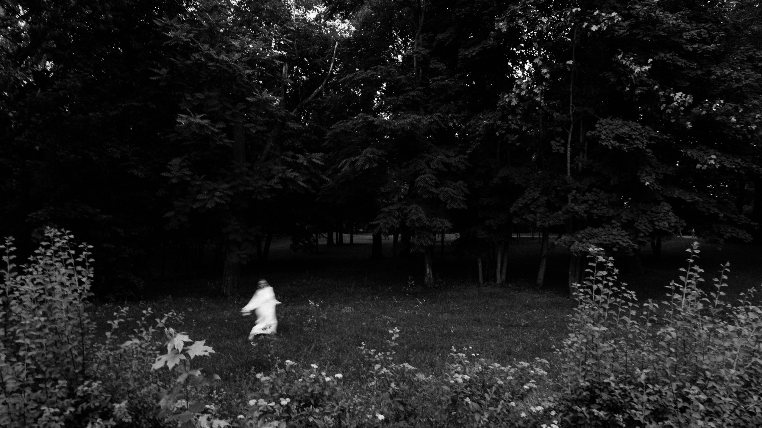 Portfolio. Свадебный фотограф Каледич Тимофей