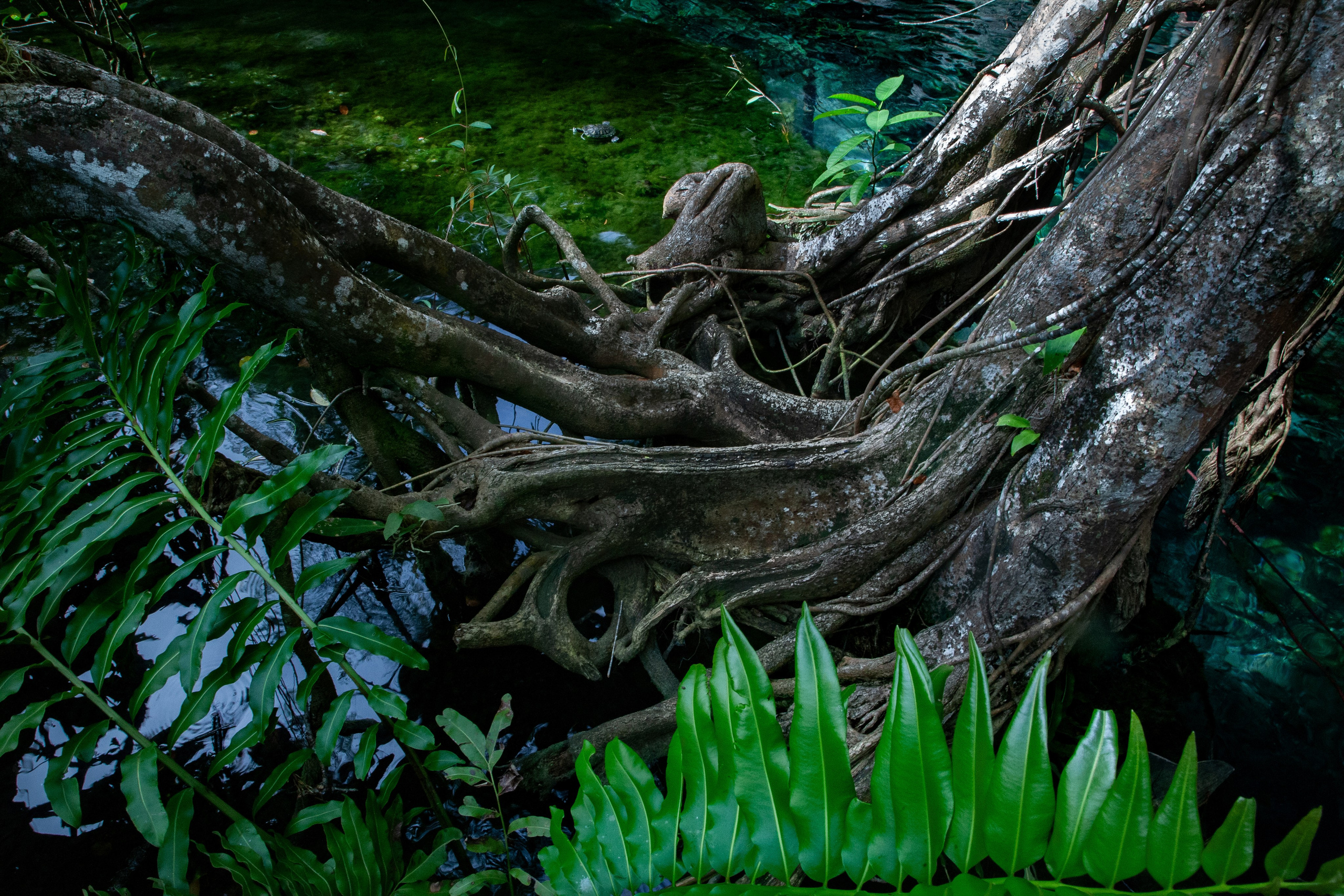 EXHIBITION. Lero Photographer and a set designer|individual custom portrait and advertising photography in Zutphen