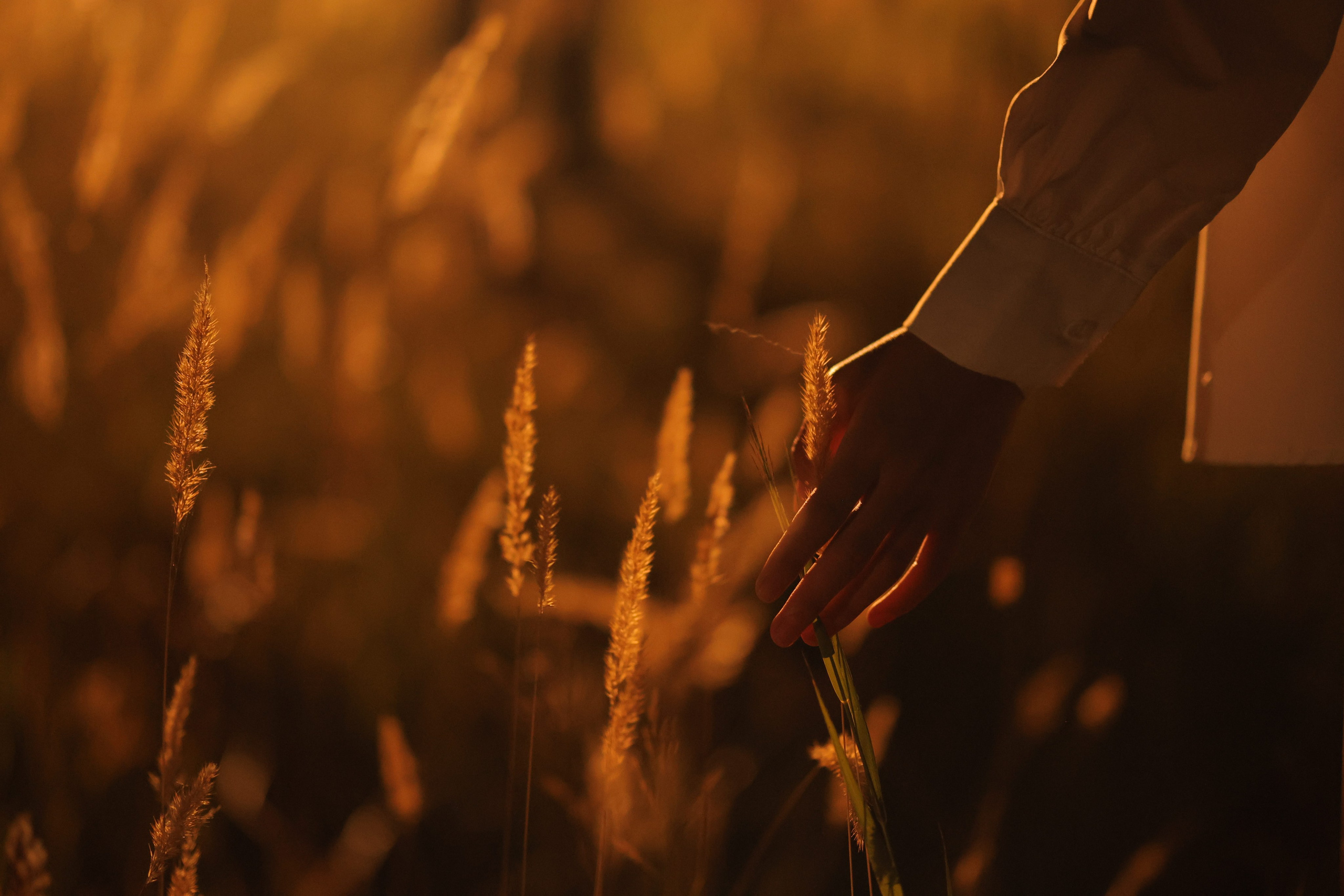 ISSIK KYL. Mandarin.photo