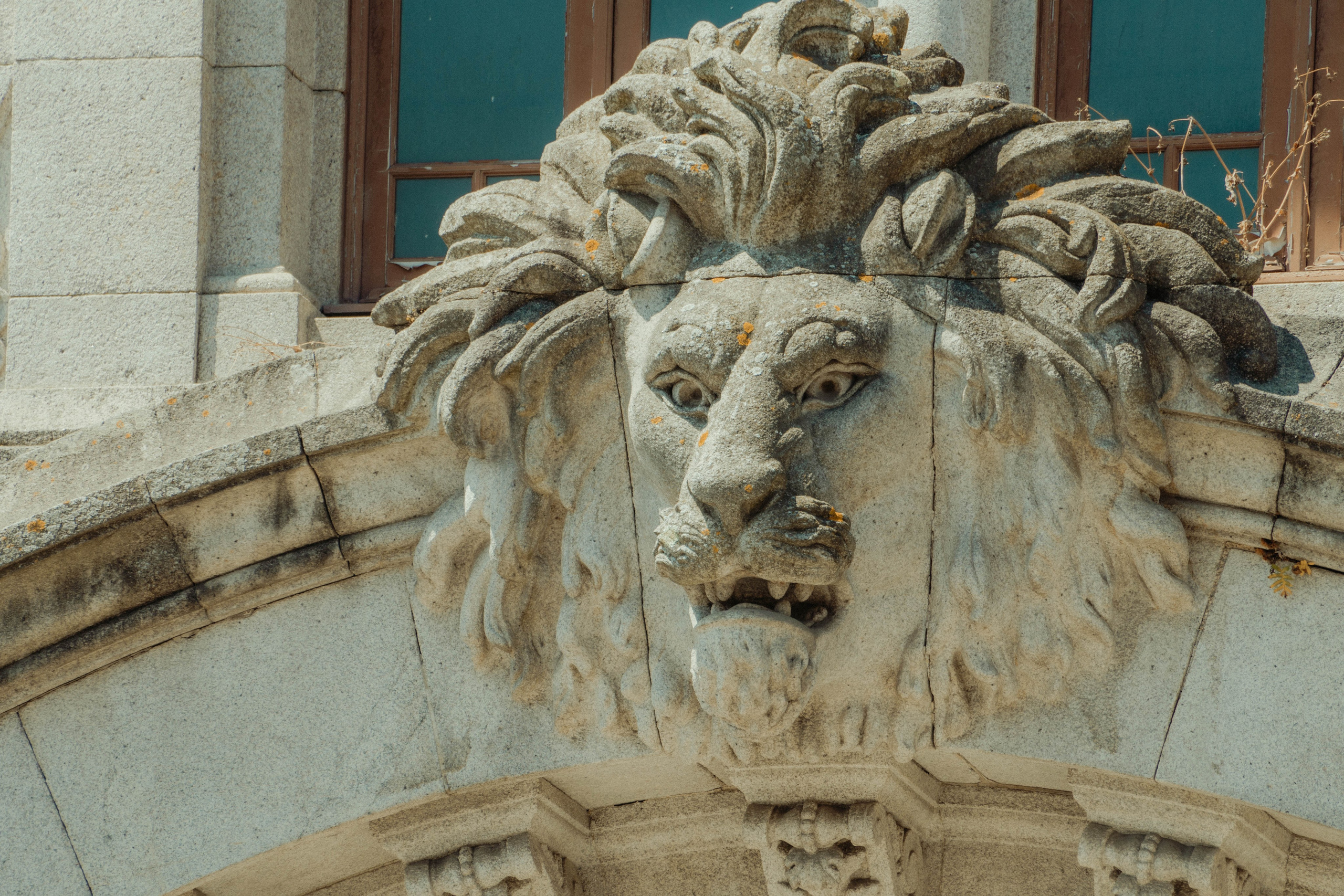 Porto, Agosto 2024. Alba del Norte Studio