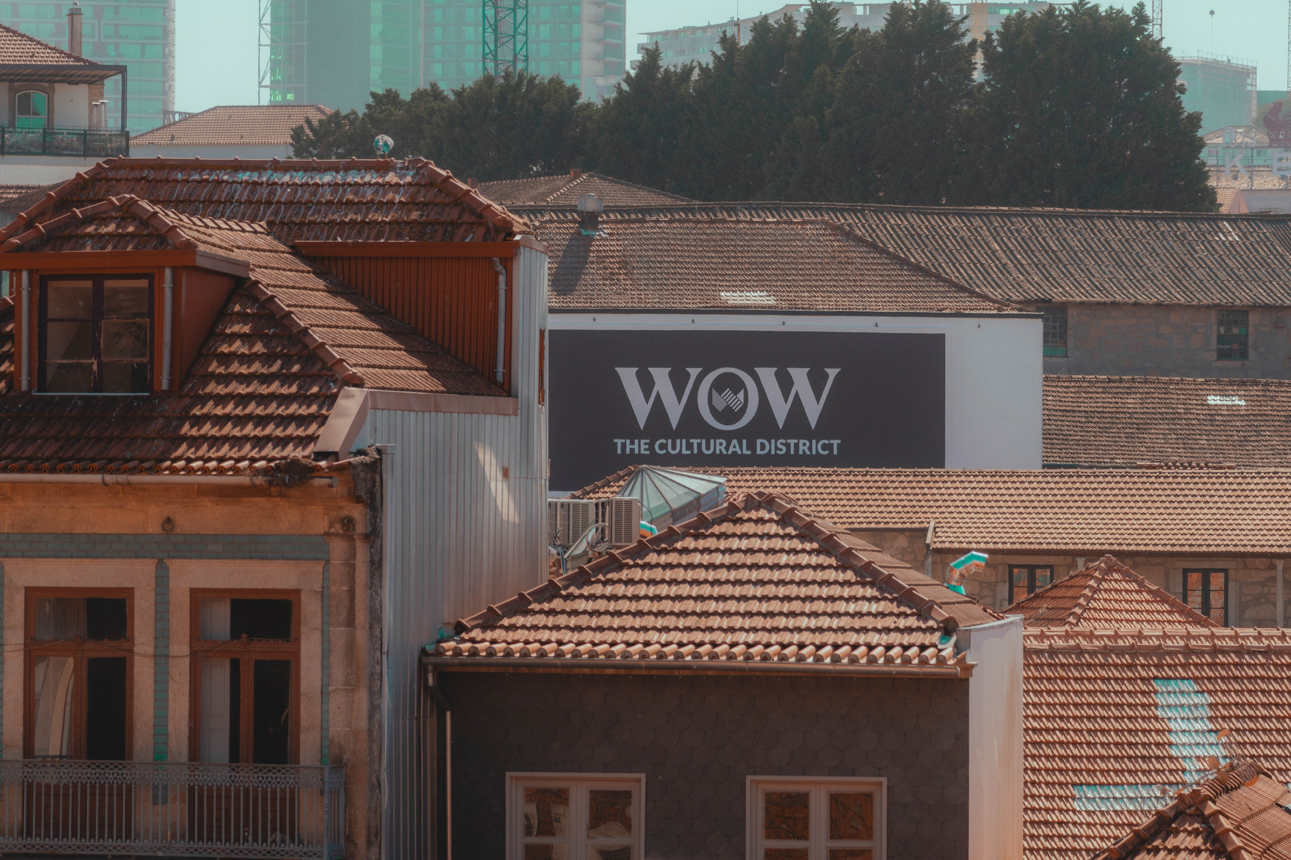 Porto, Agosto 2024. Alba del Norte Studio