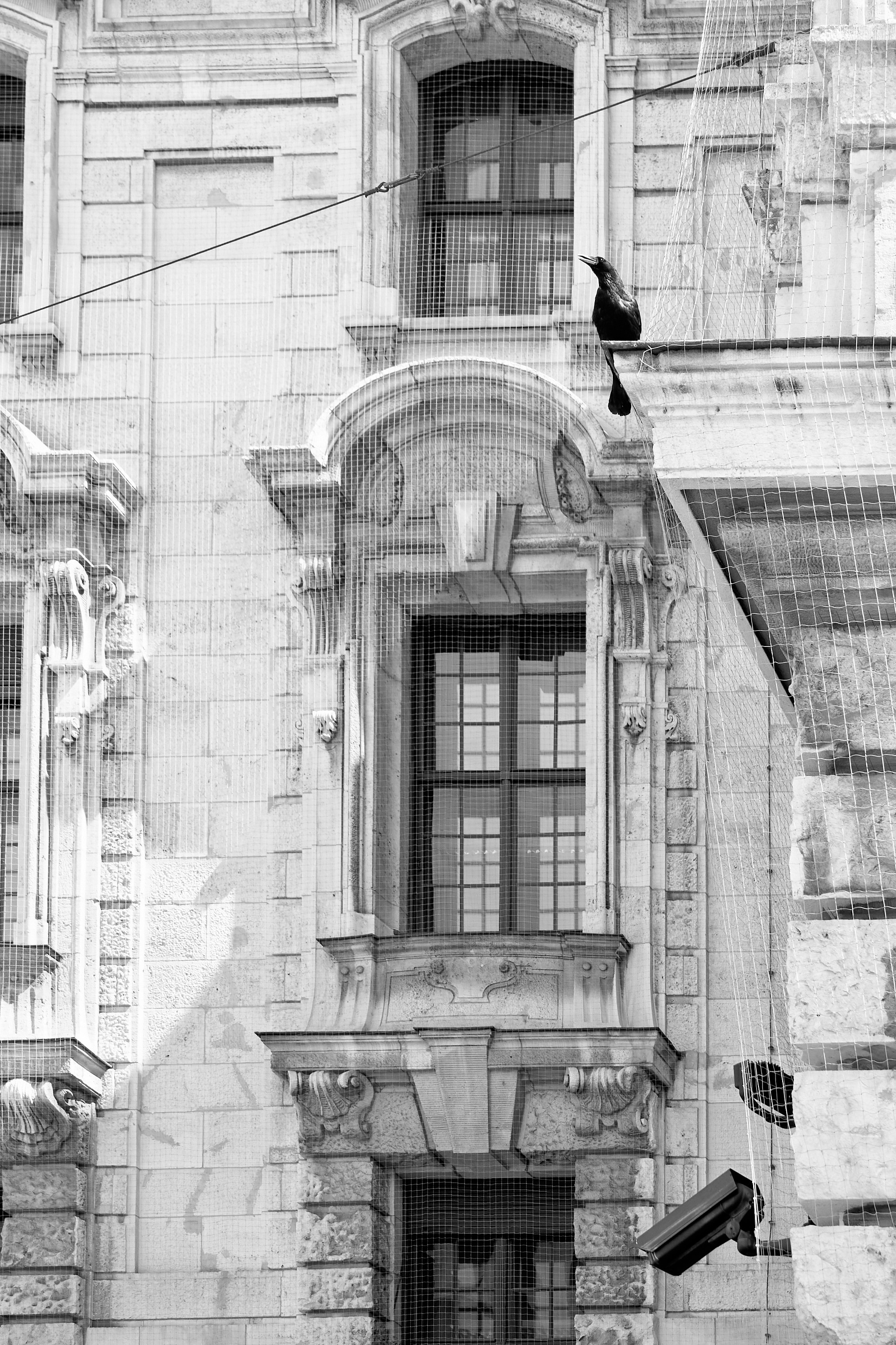 München. Aleksandr Steinbrenner | Streetfotografie