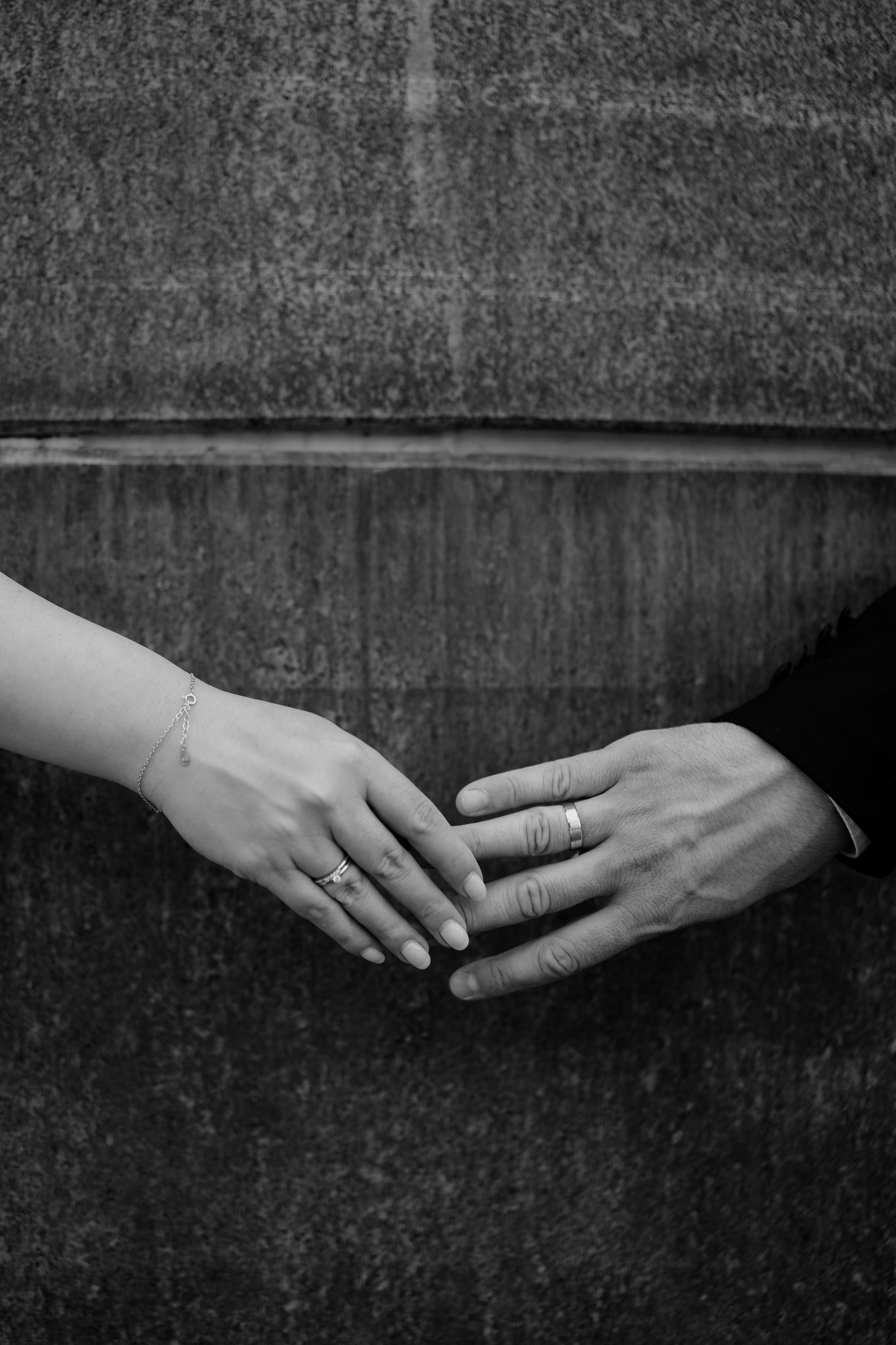 Stefan & Dorotea. NSJ — Wedding Studio