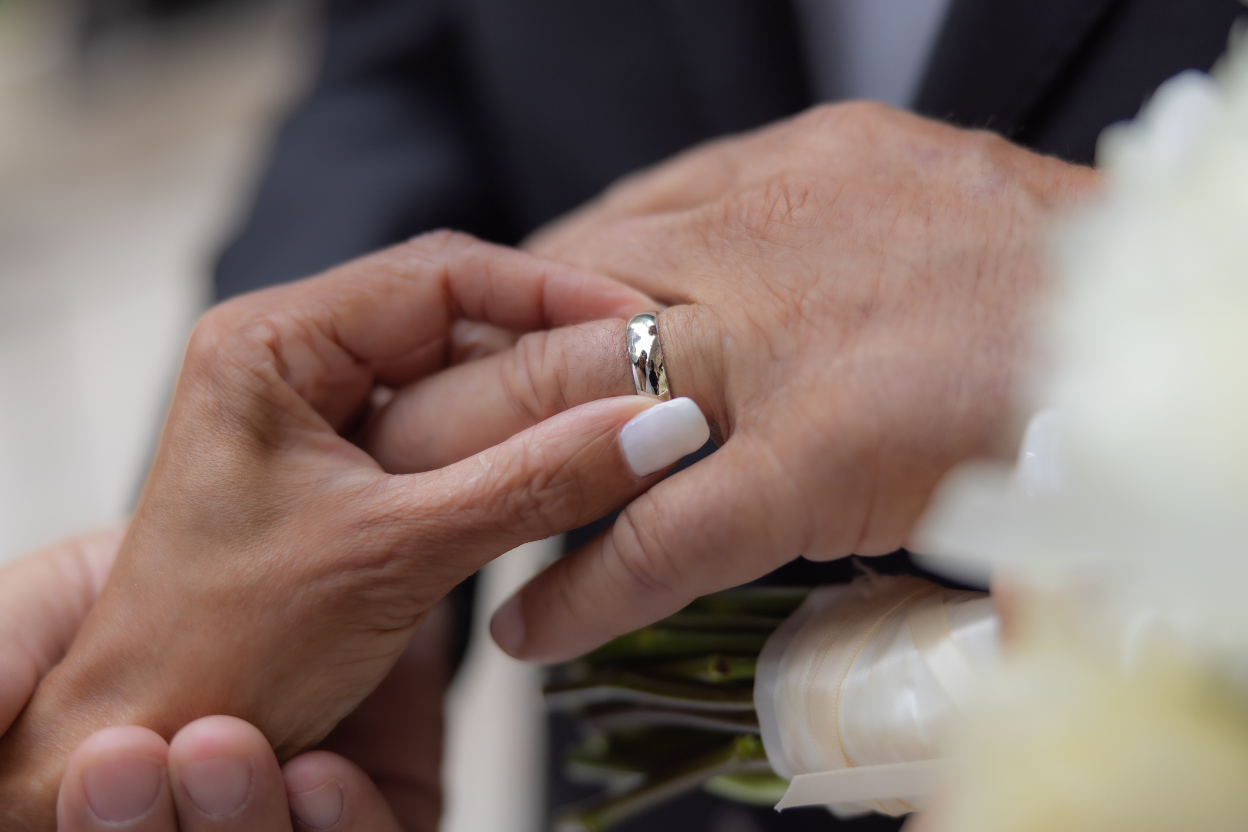 Marlene and Michael. Wedding Photo & Video