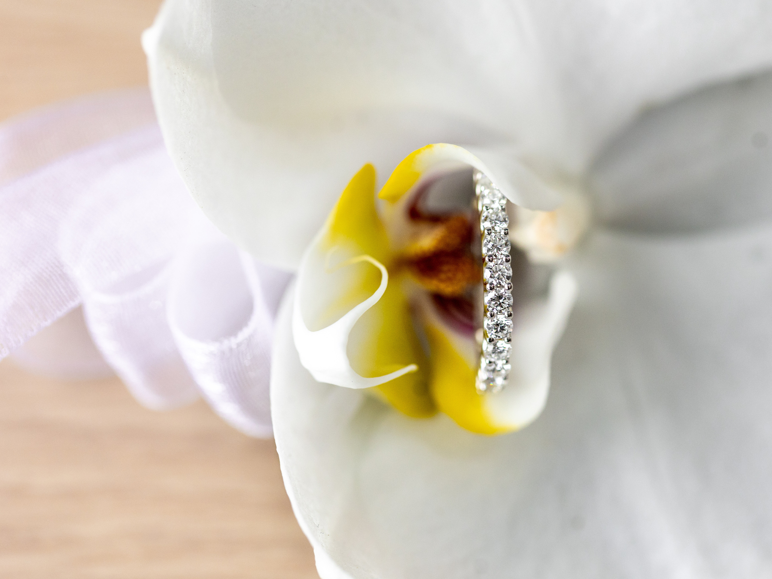 Claudie and Philip. Wedding Photo & Video