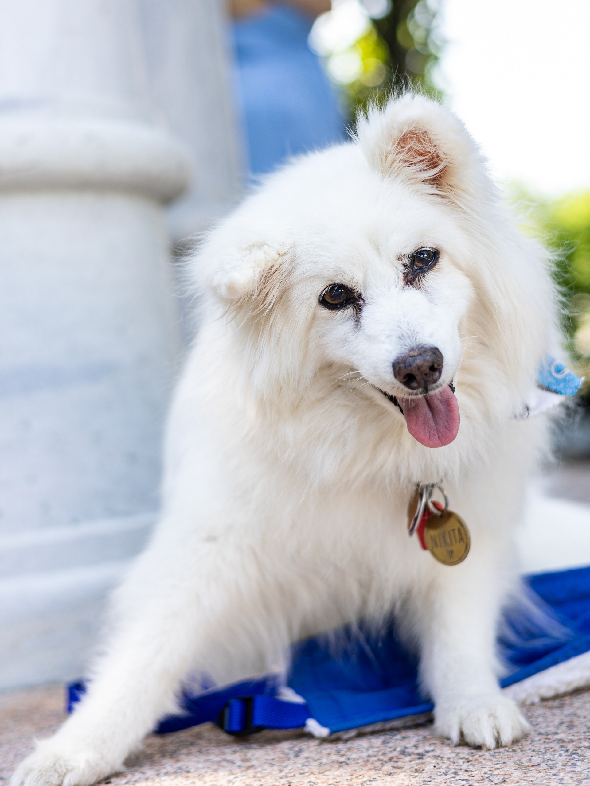 Karen and Edwin. Wedding Photo & Video