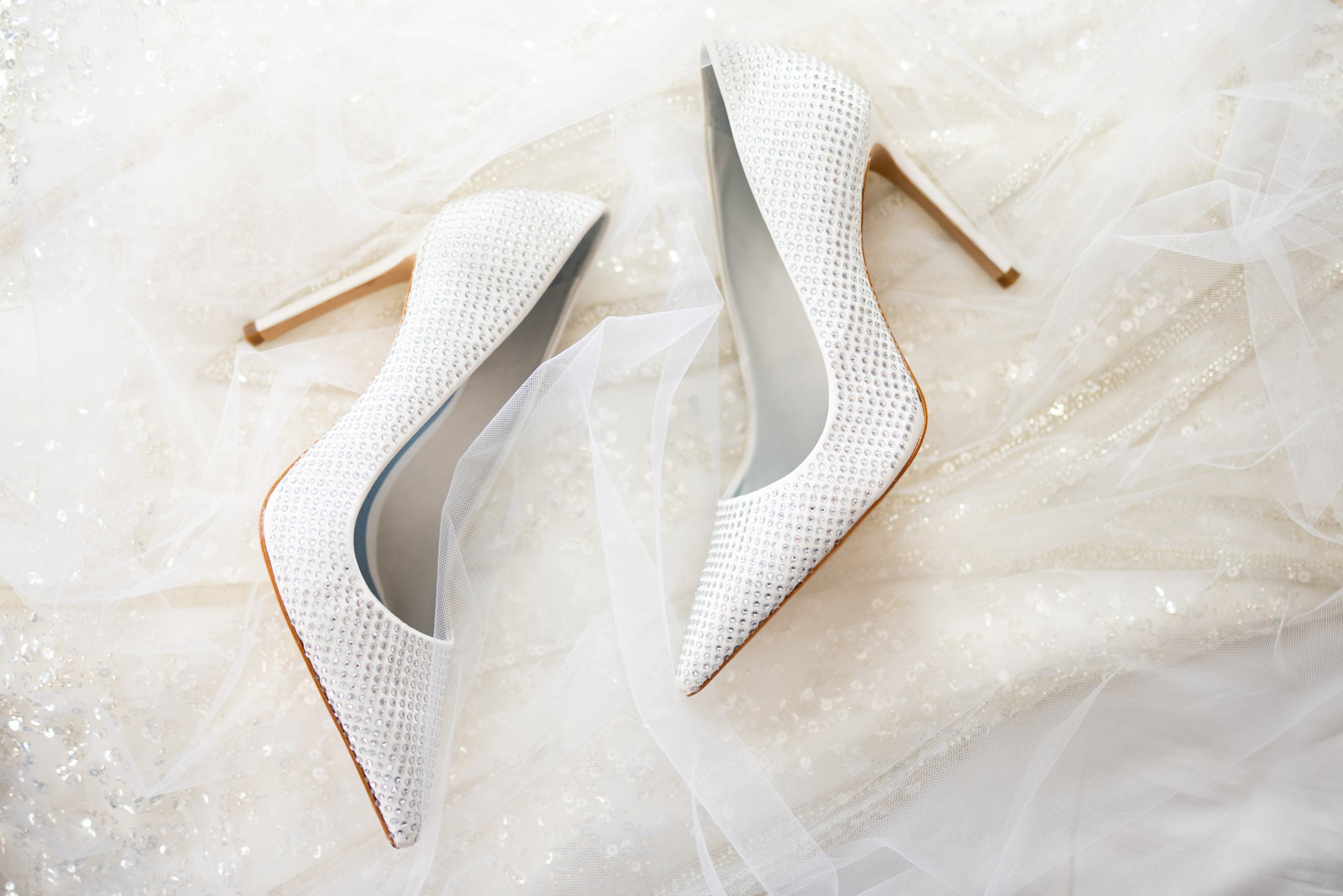 Claudie and Philip. Wedding Photo & Video