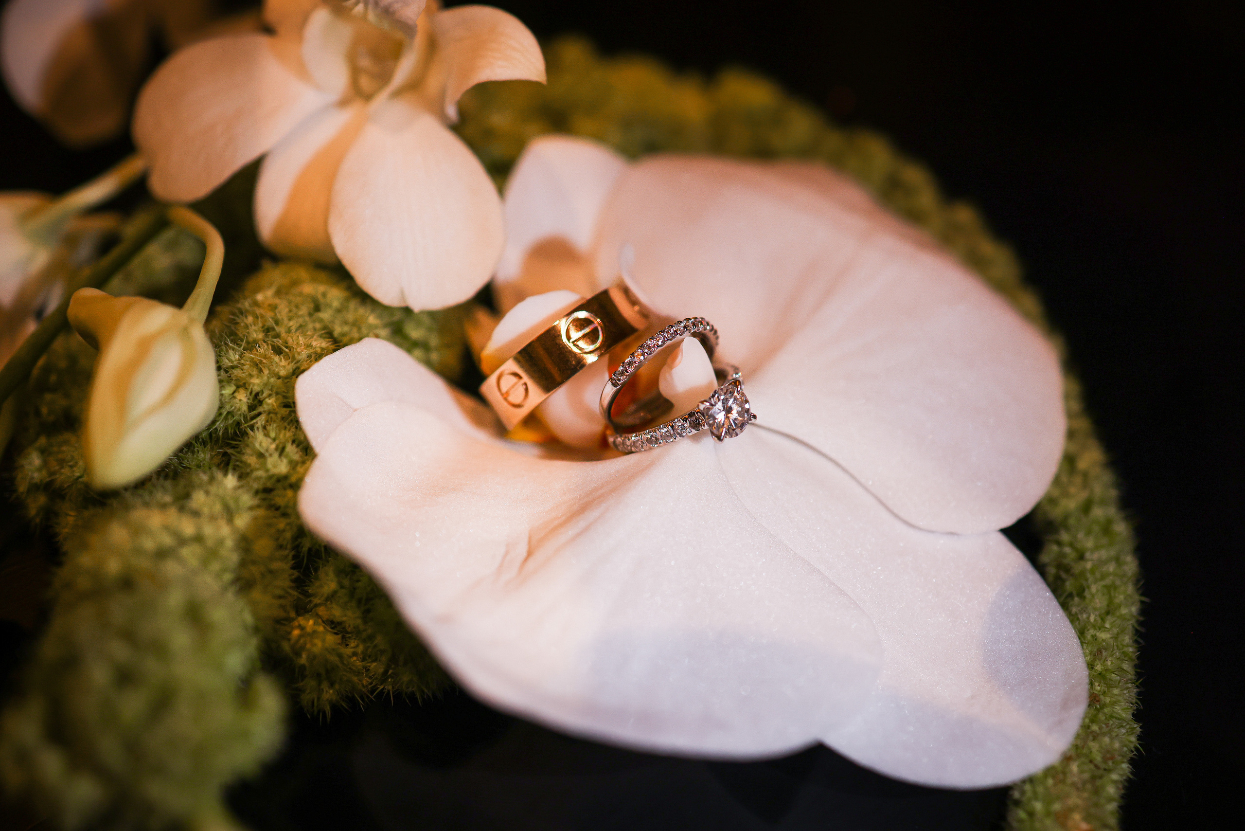 Elizabeth and Ruslan. Wedding Photo & Video