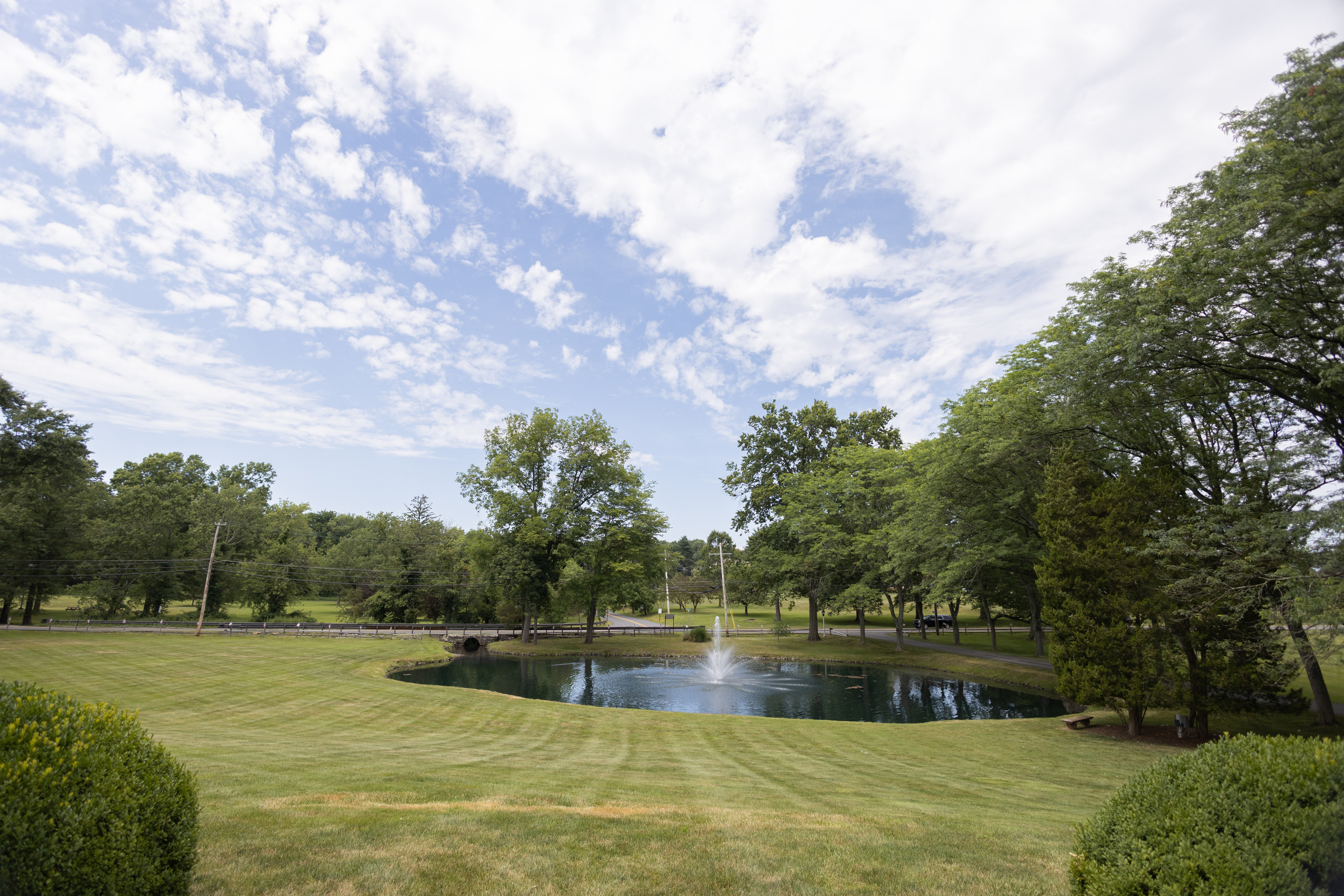 Claudie and Philip. Wedding Photo & Video