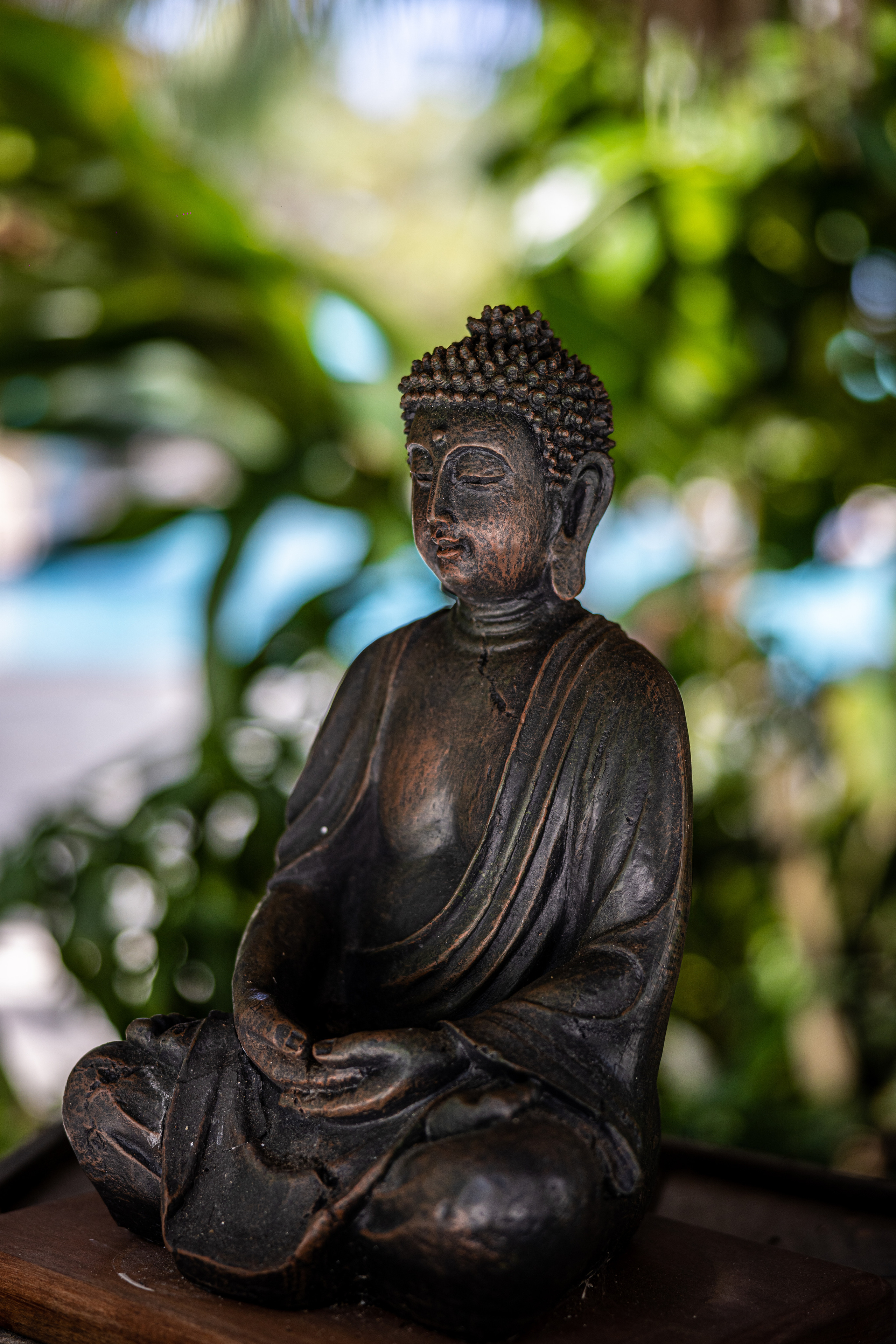 Elizabeth and Ruslan. Wedding Photo & Video