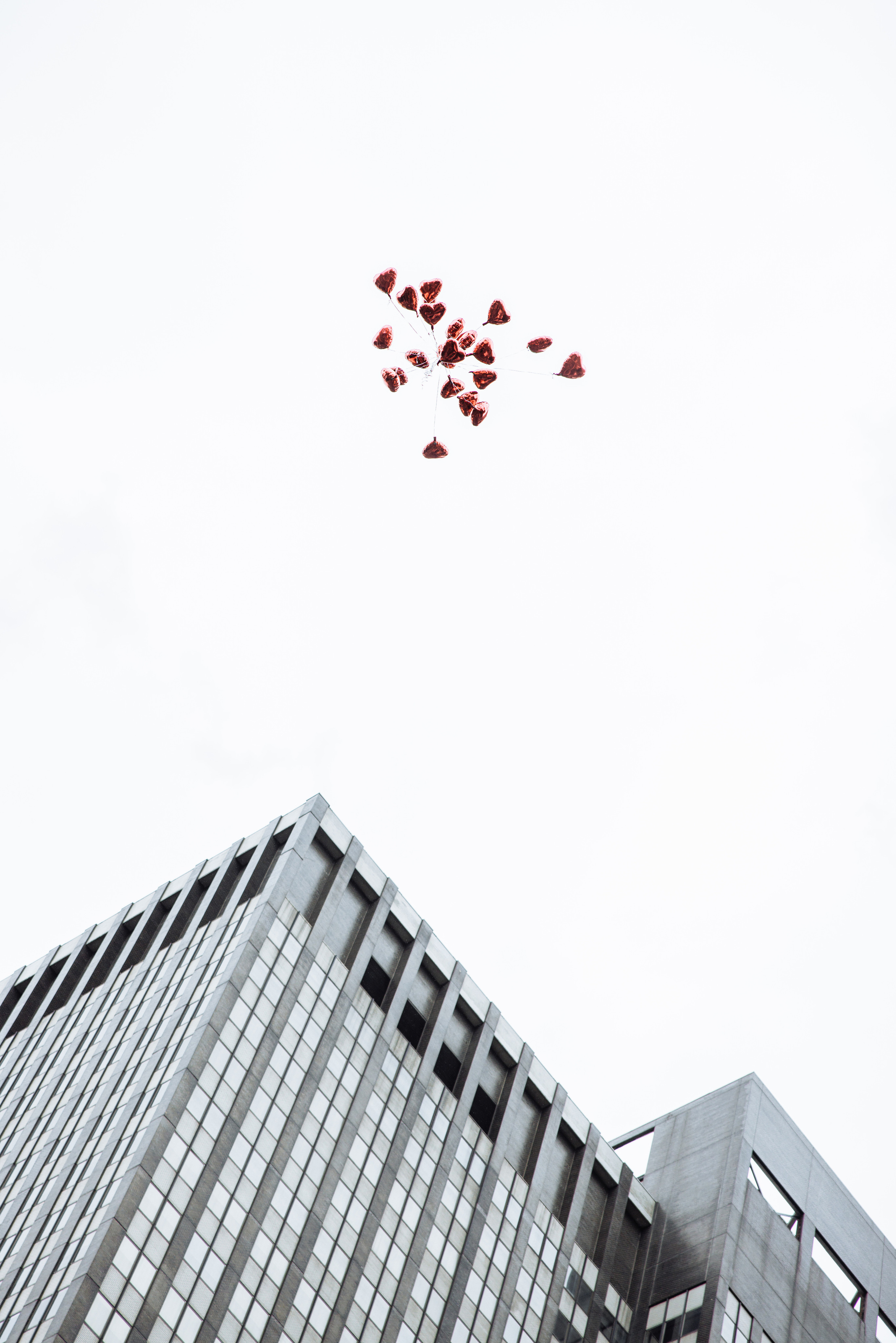 Marlene and Michael. Wedding Photo & Video