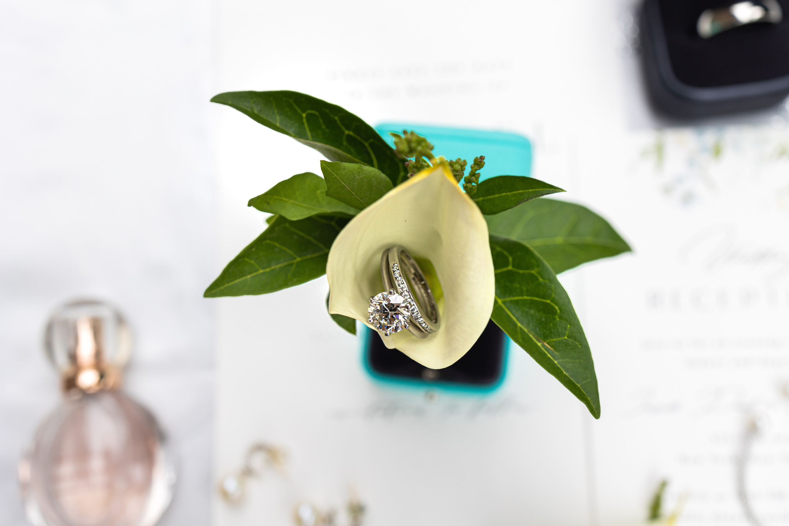 Marlene and Michael. Wedding Photo & Video