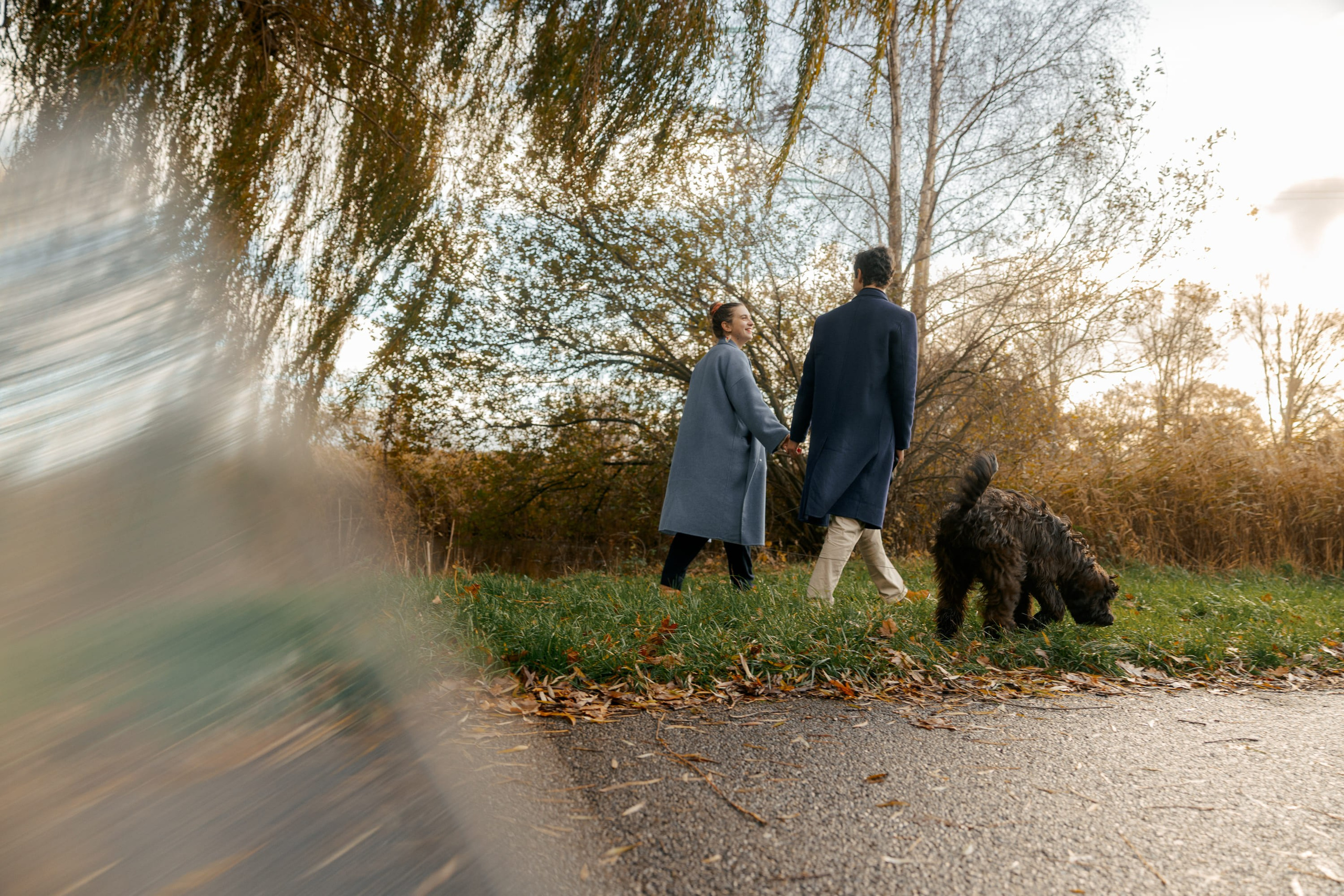 Pet Photoshoot in Spijkenisse | Rotterdam. Romantic & Soulful Photography by Natalia Olhova in Rotterdam