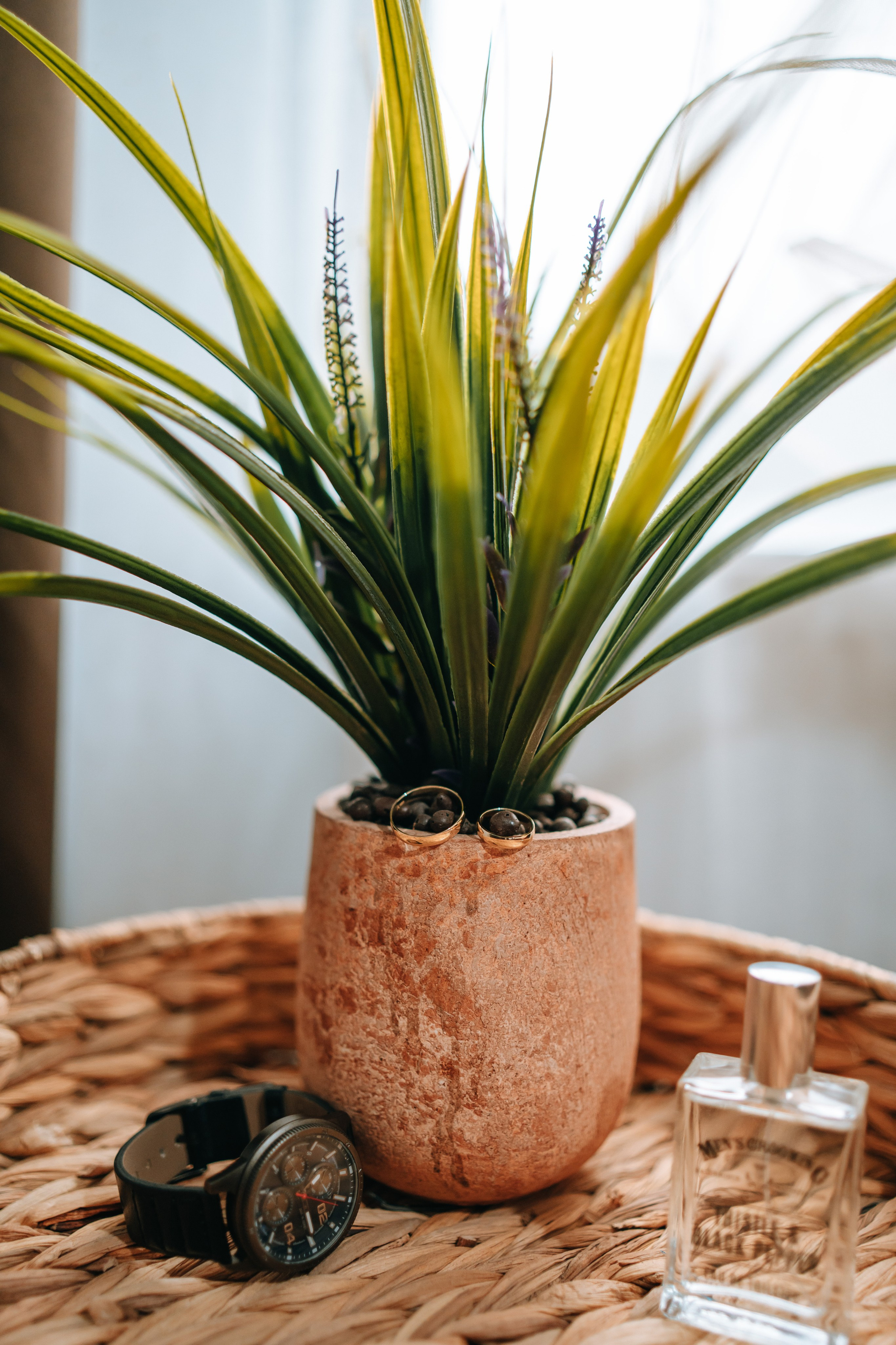 Roxana & Viorel. CC Photography \ Fotograf Profesionist \ Evenimente